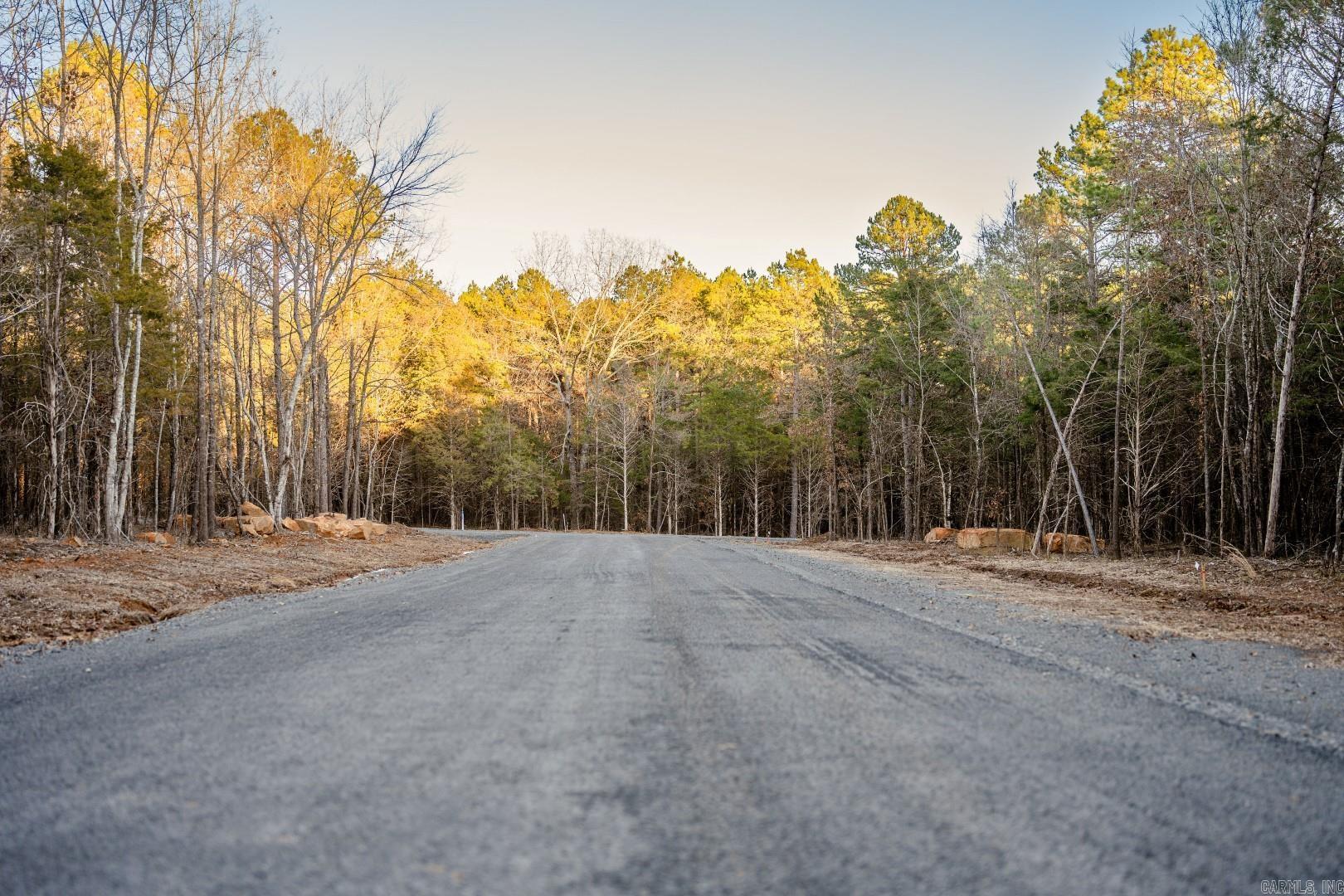 Photo 11 - Vacant Land for sale – Lot 8  Vida Del Lago Subdivision   Greers Ferry, AR