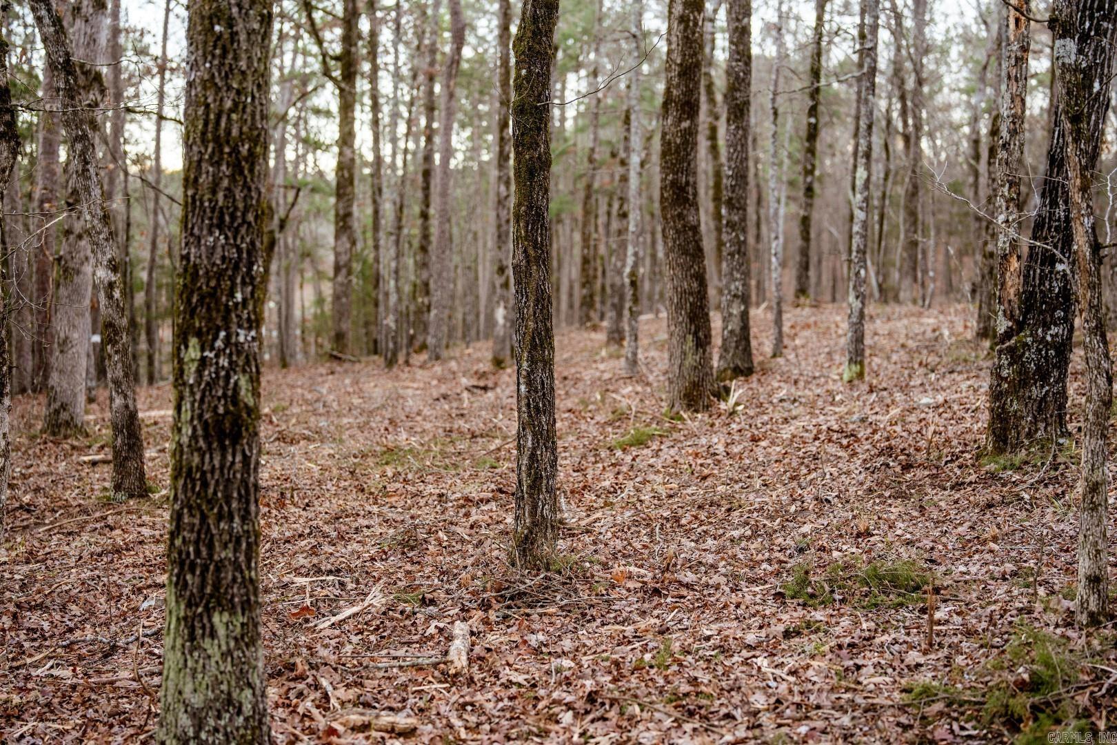 Photo 24 - Vacant Land for sale – Lot 8  Vida Del Lago Subdivision   Greers Ferry, AR