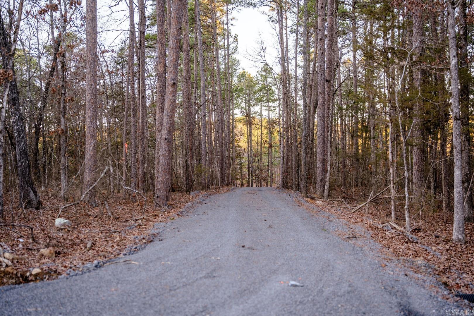 Photo 25 - Vacant Land for sale – Lot 8  Vida Del Lago Subdivision   Greers Ferry, AR
