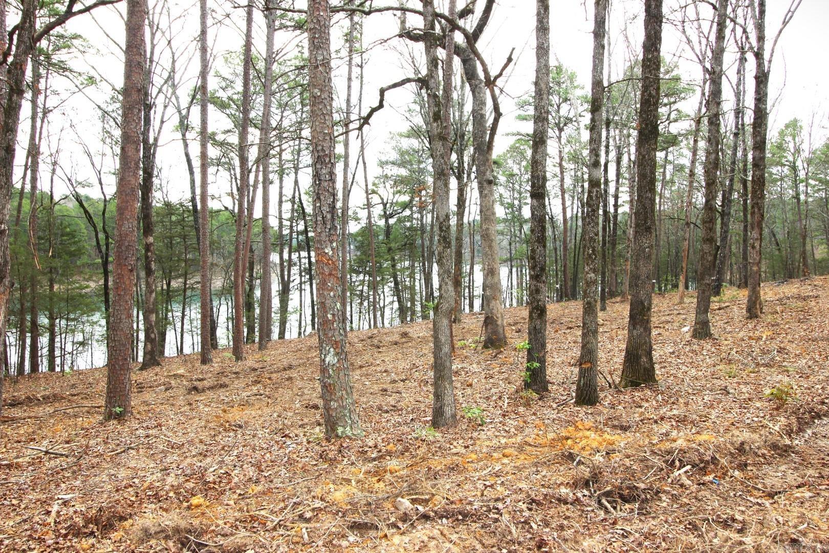 Photo 4 - Vacant Land for sale – Lot 8  Vida Del Lago Subdivision   Greers Ferry, AR
