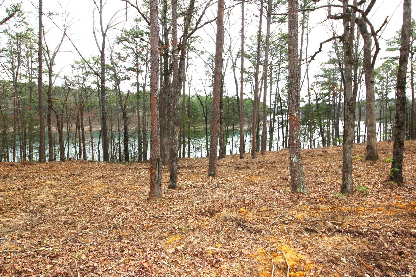 Photo 34 - Vacant Land for sale – Lot 8  Vida Del Lago Subdivision   Greers Ferry, AR