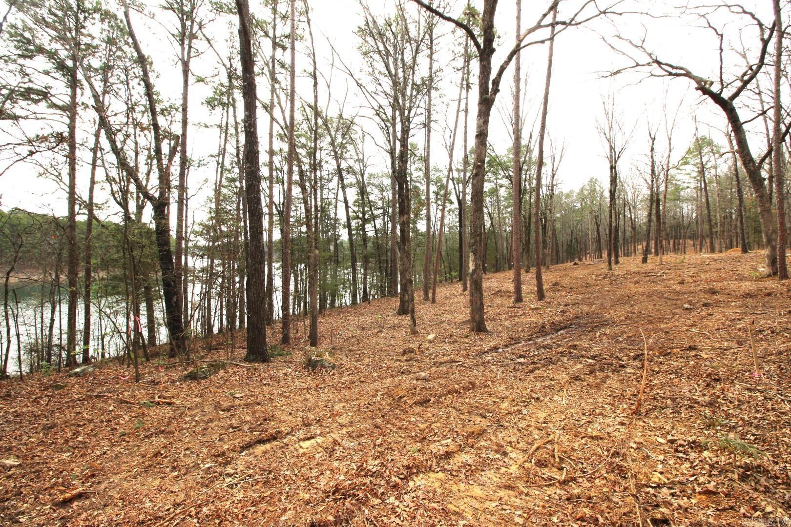 Photo 35 - Vacant Land for sale – Lot 8  Vida Del Lago Subdivision   Greers Ferry, AR