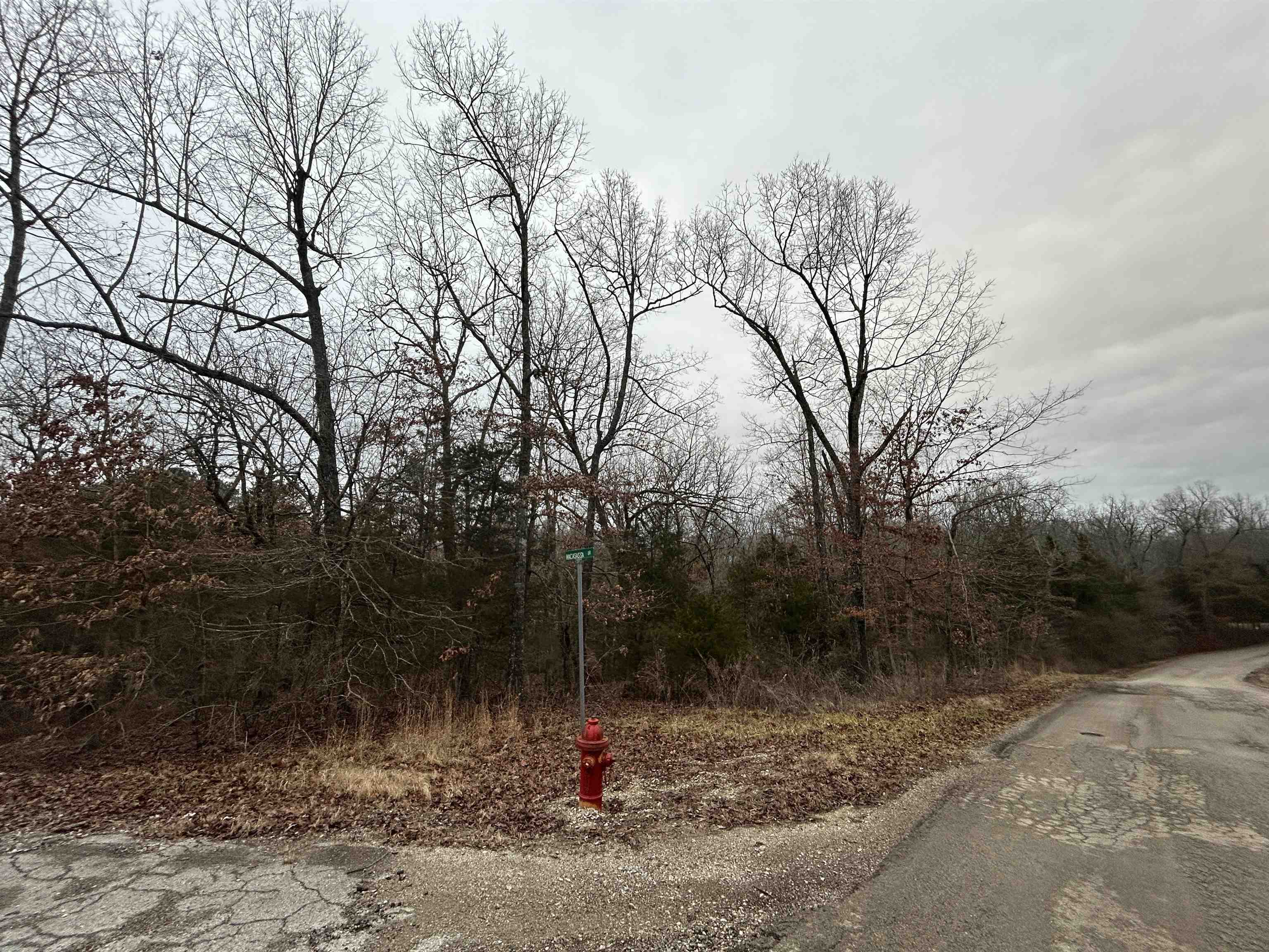 Vacant Land for sale – TBD  Wacasassa   Cherokee Village, AR