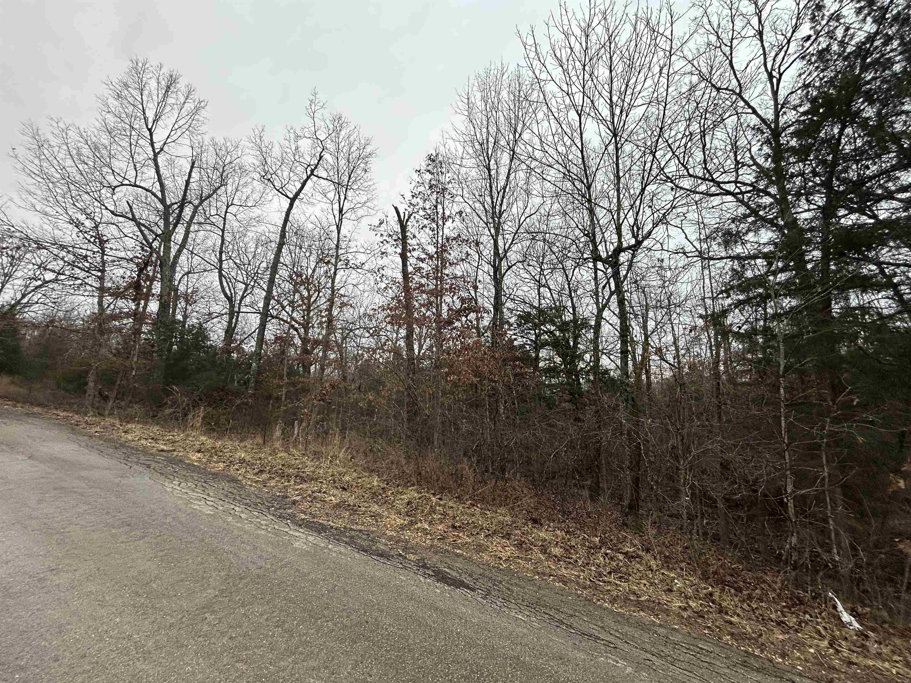 Photo 2 - Vacant Land for sale – TBD  Wacasassa   Cherokee Village, AR