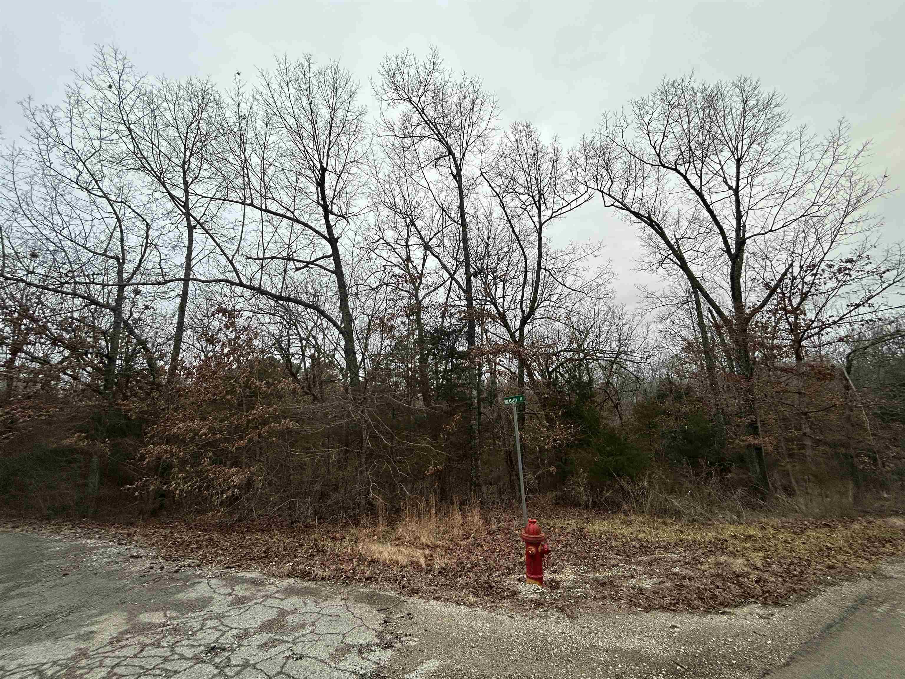 Photo 3 - Vacant Land for sale – TBD  Wacasassa   Cherokee Village, AR