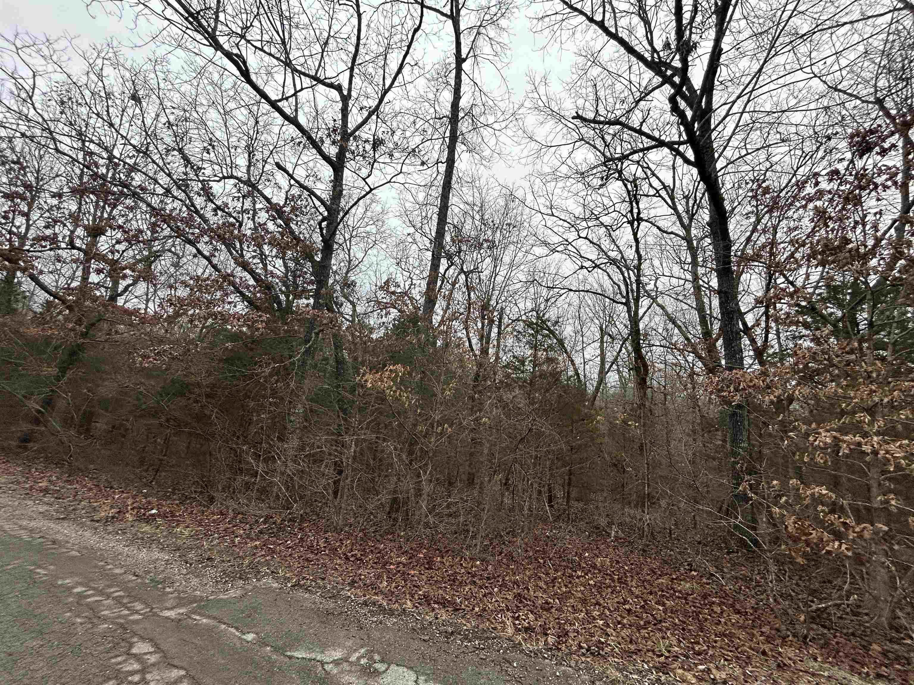 Photo 4 - Vacant Land for sale – TBD  Wacasassa   Cherokee Village, AR