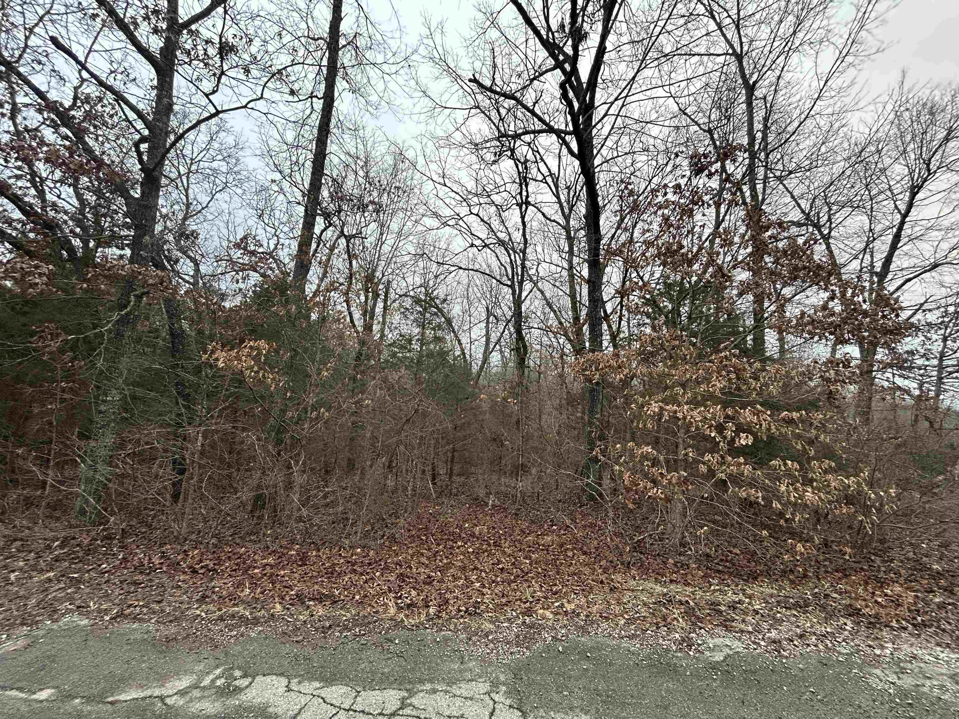 Photo 5 - Vacant Land for sale – TBD  Wacasassa   Cherokee Village, AR