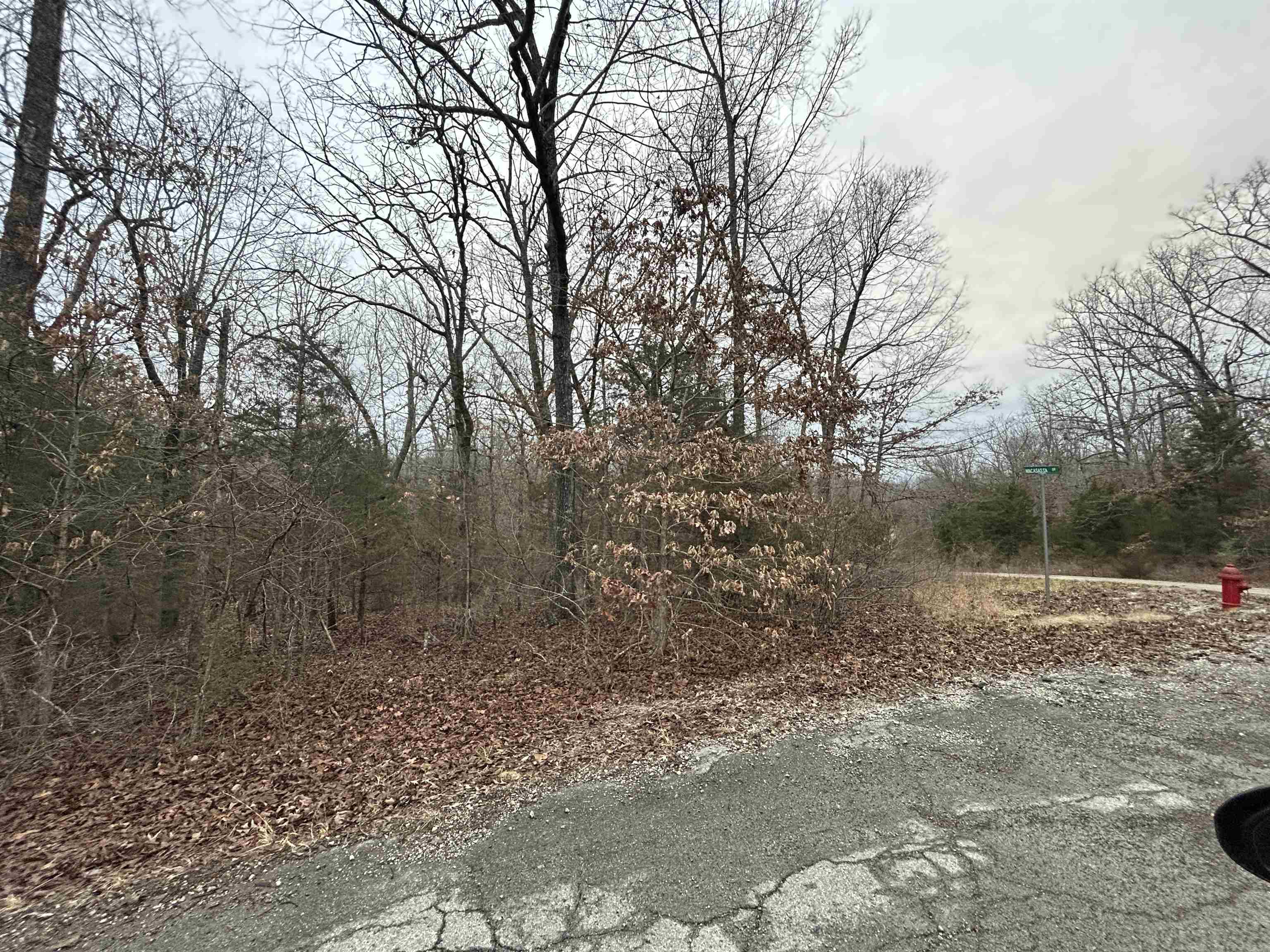 Photo 6 - Vacant Land for sale – TBD  Wacasassa   Cherokee Village, AR