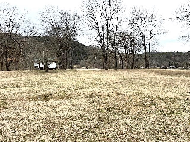 Photo 3 - Vacant Land for sale – 990  N Riverview   Mountain View, AR