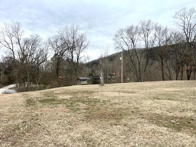 Photo 4 - Vacant Land for sale – 990  N Riverview   Mountain View, AR