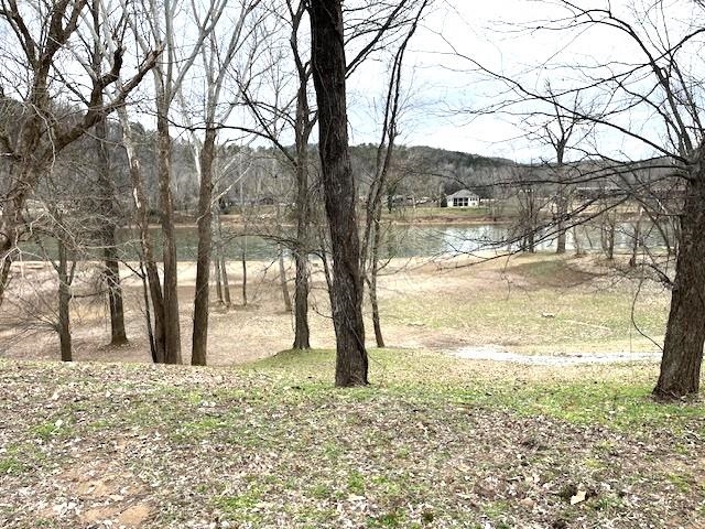 Photo 5 - Vacant Land for sale – 990  N Riverview   Mountain View, AR
