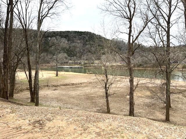 Photo 6 - Vacant Land for sale – 990  N Riverview   Mountain View, AR