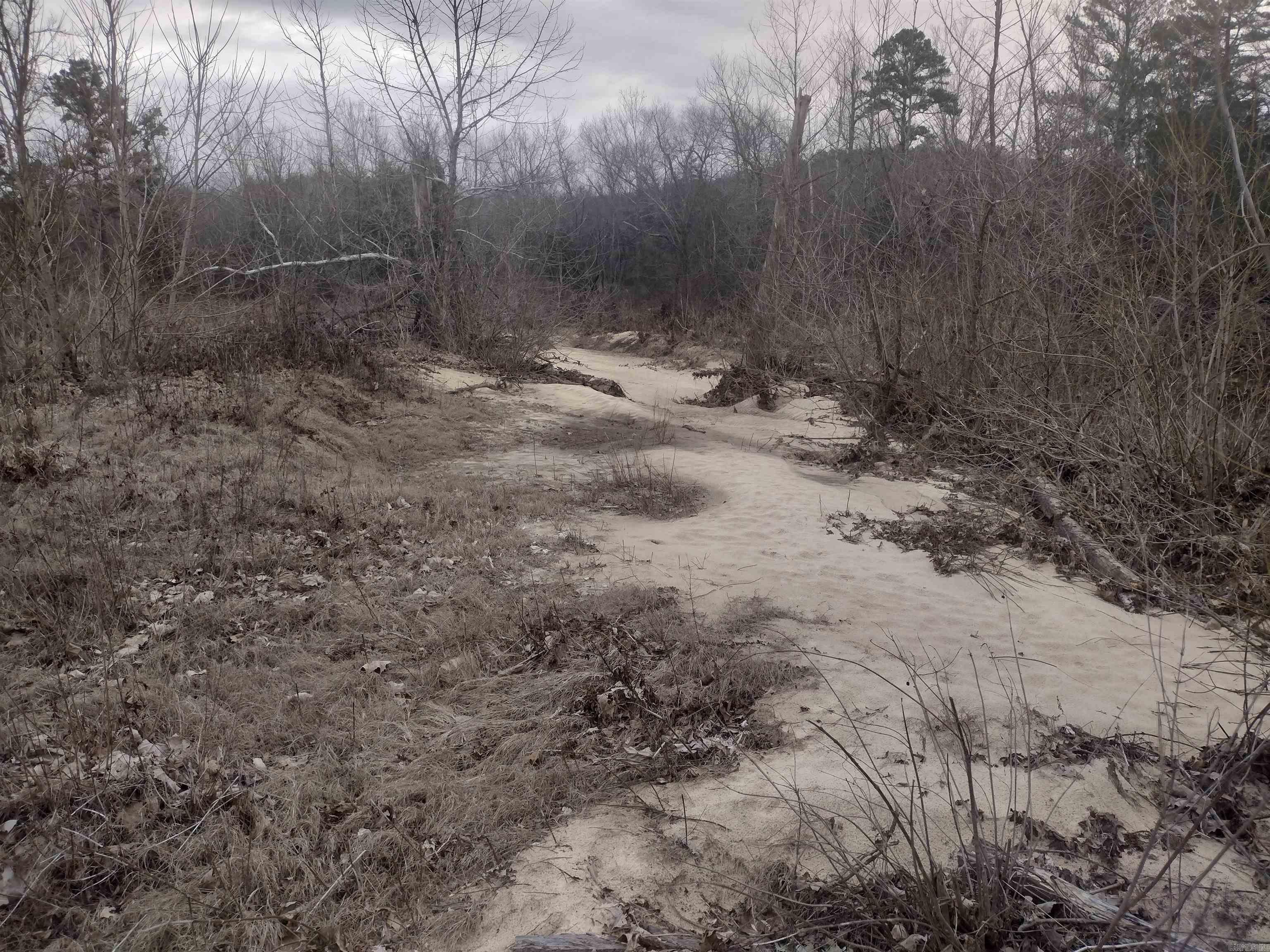 Photo 19 - Vacant Land for sale – 8840  HWY 56   Calico Rock, AR