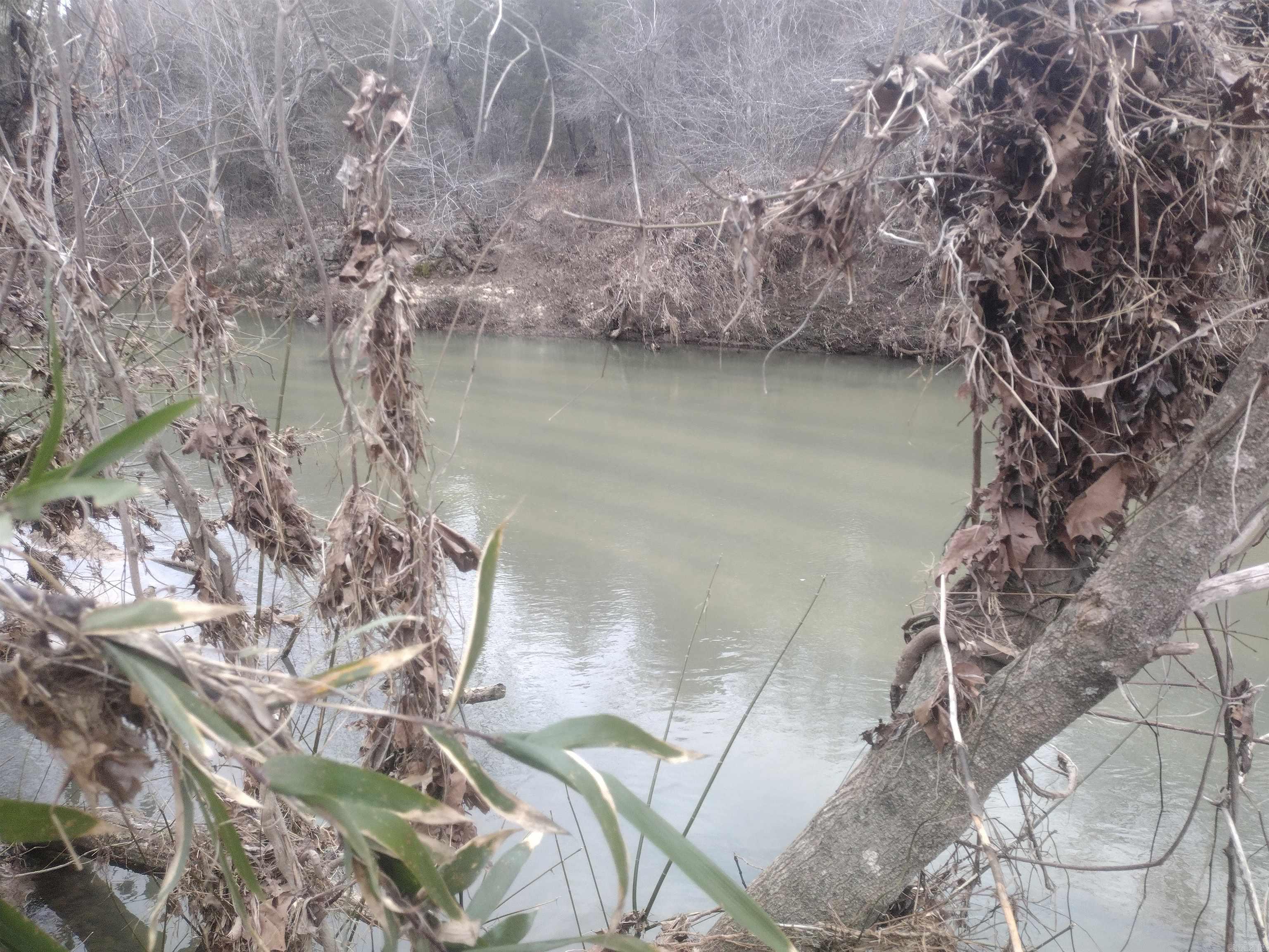 Photo 3 - Vacant Land for sale – 8840  HWY 56   Calico Rock, AR