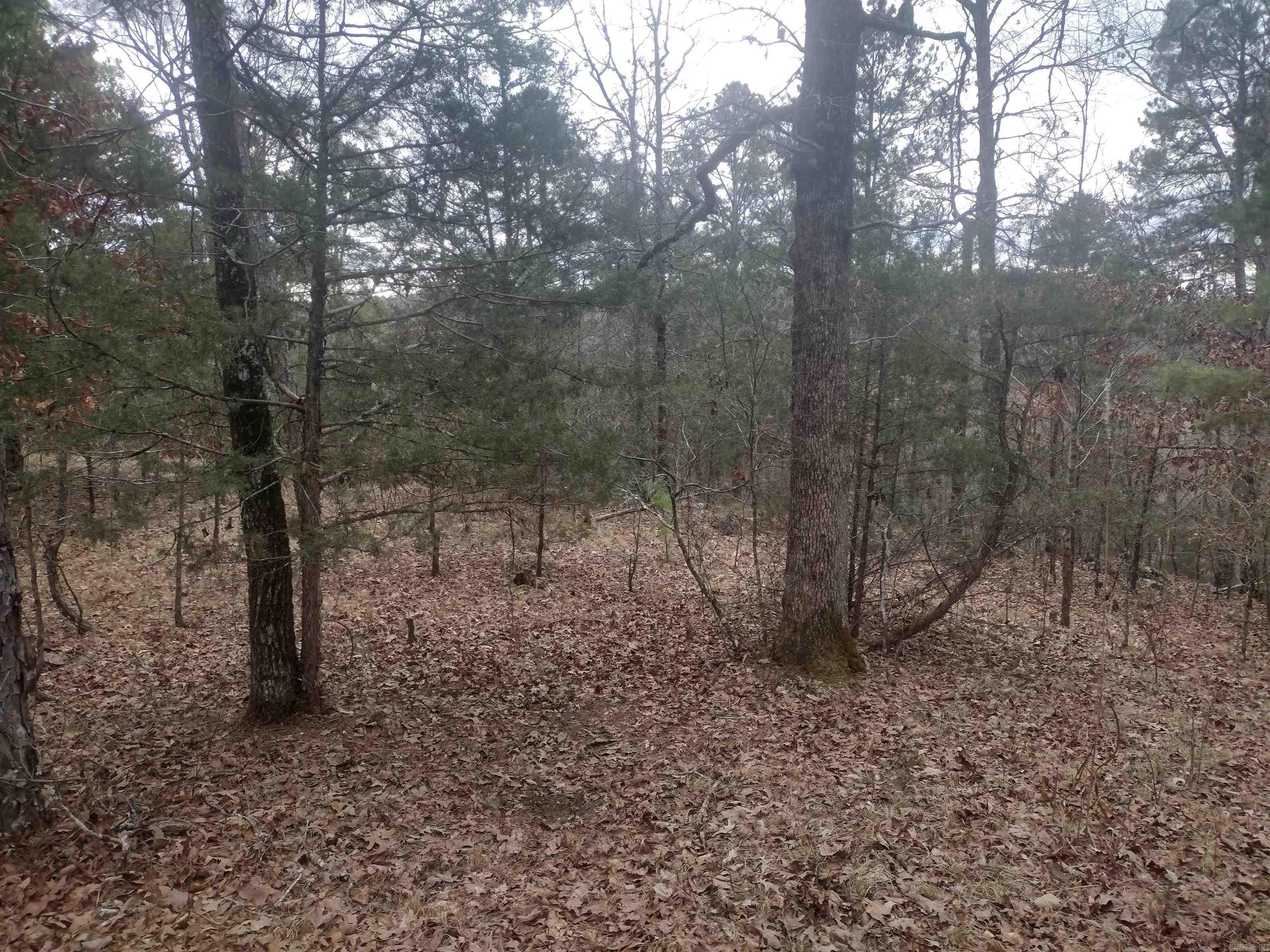Photo 26 - Vacant Land for sale – 8840  HWY 56   Calico Rock, AR