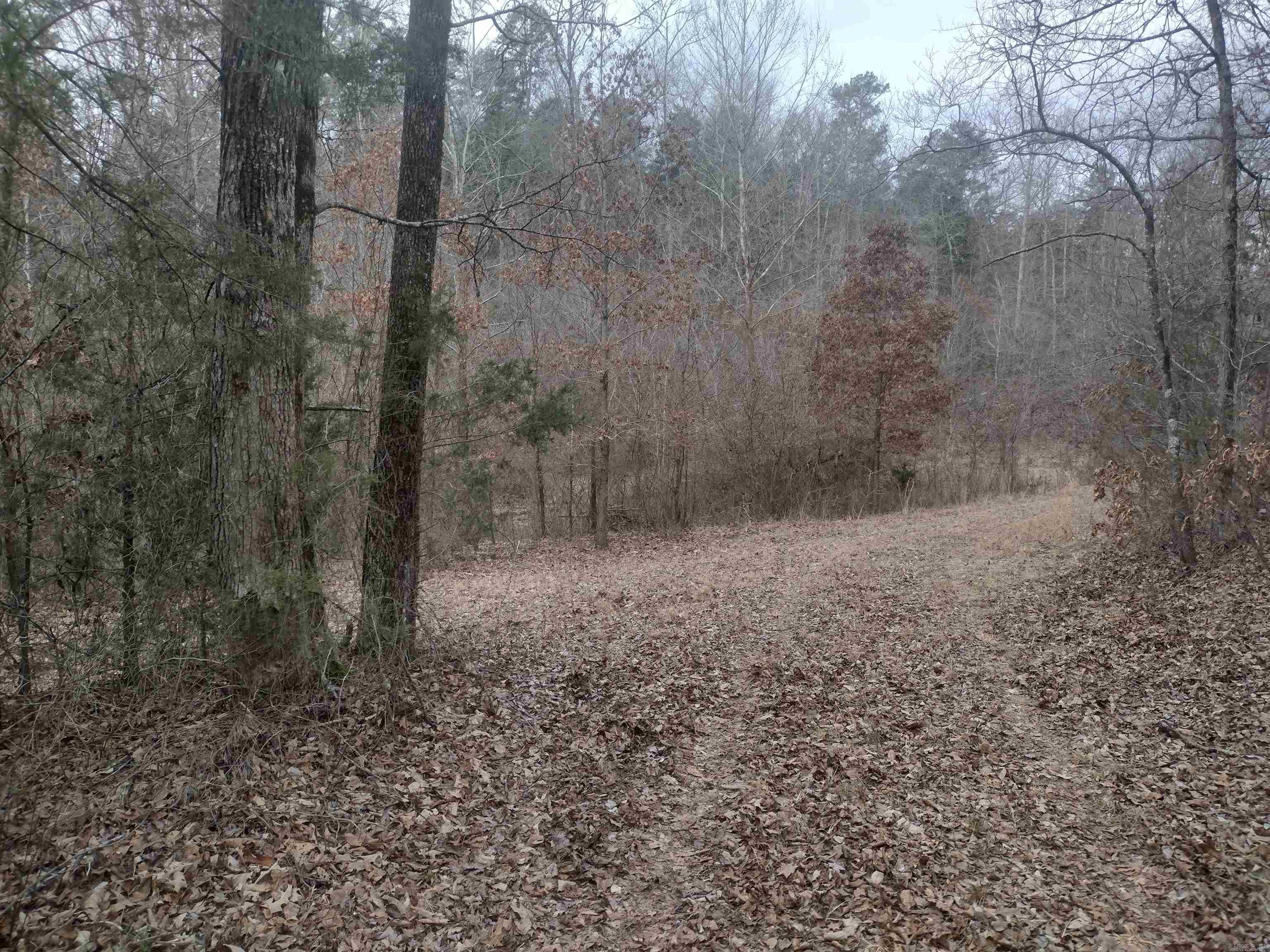 Photo 28 - Vacant Land for sale – 8840  HWY 56   Calico Rock, AR