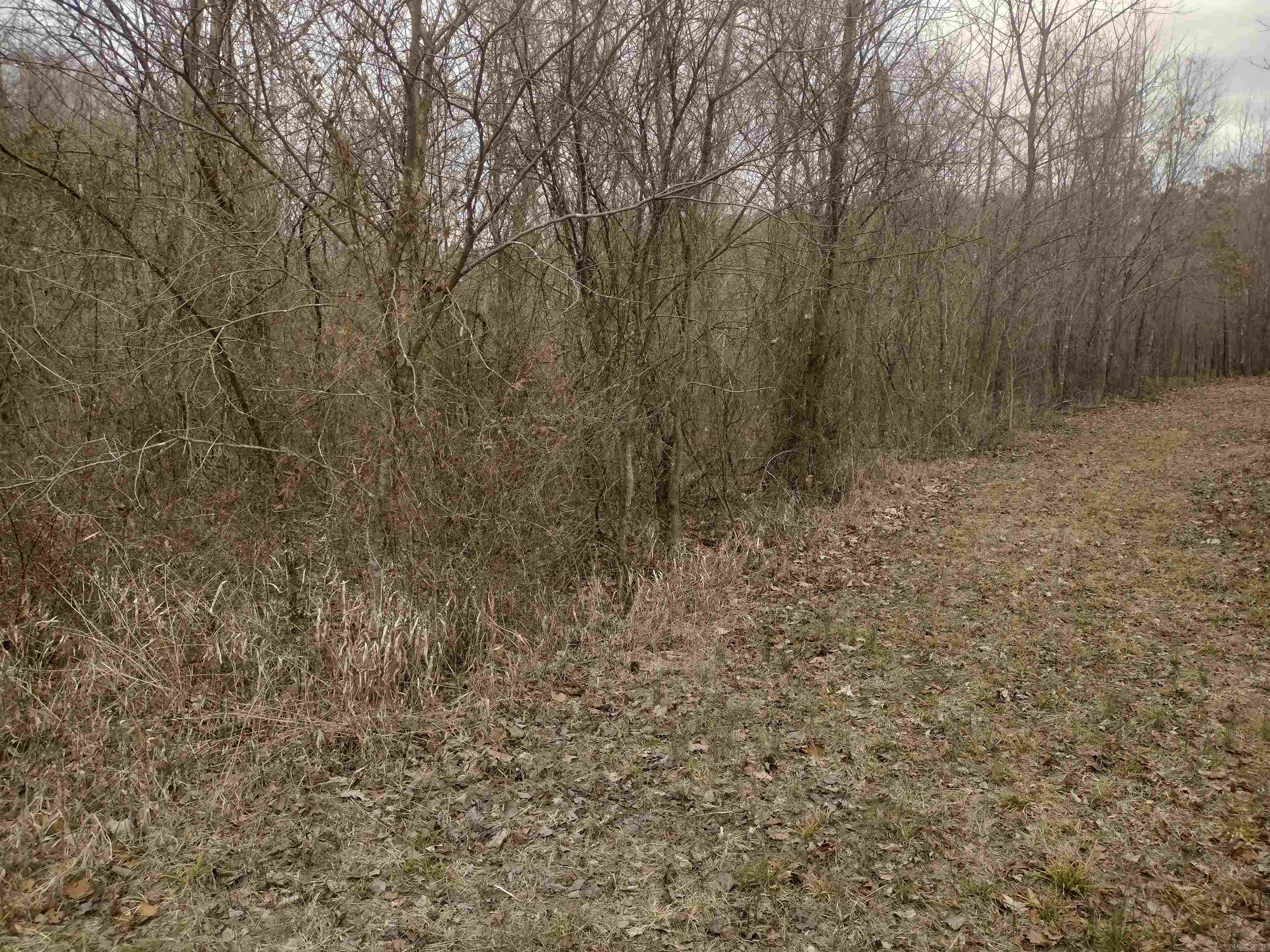 Photo 29 - Vacant Land for sale – 8840  HWY 56   Calico Rock, AR