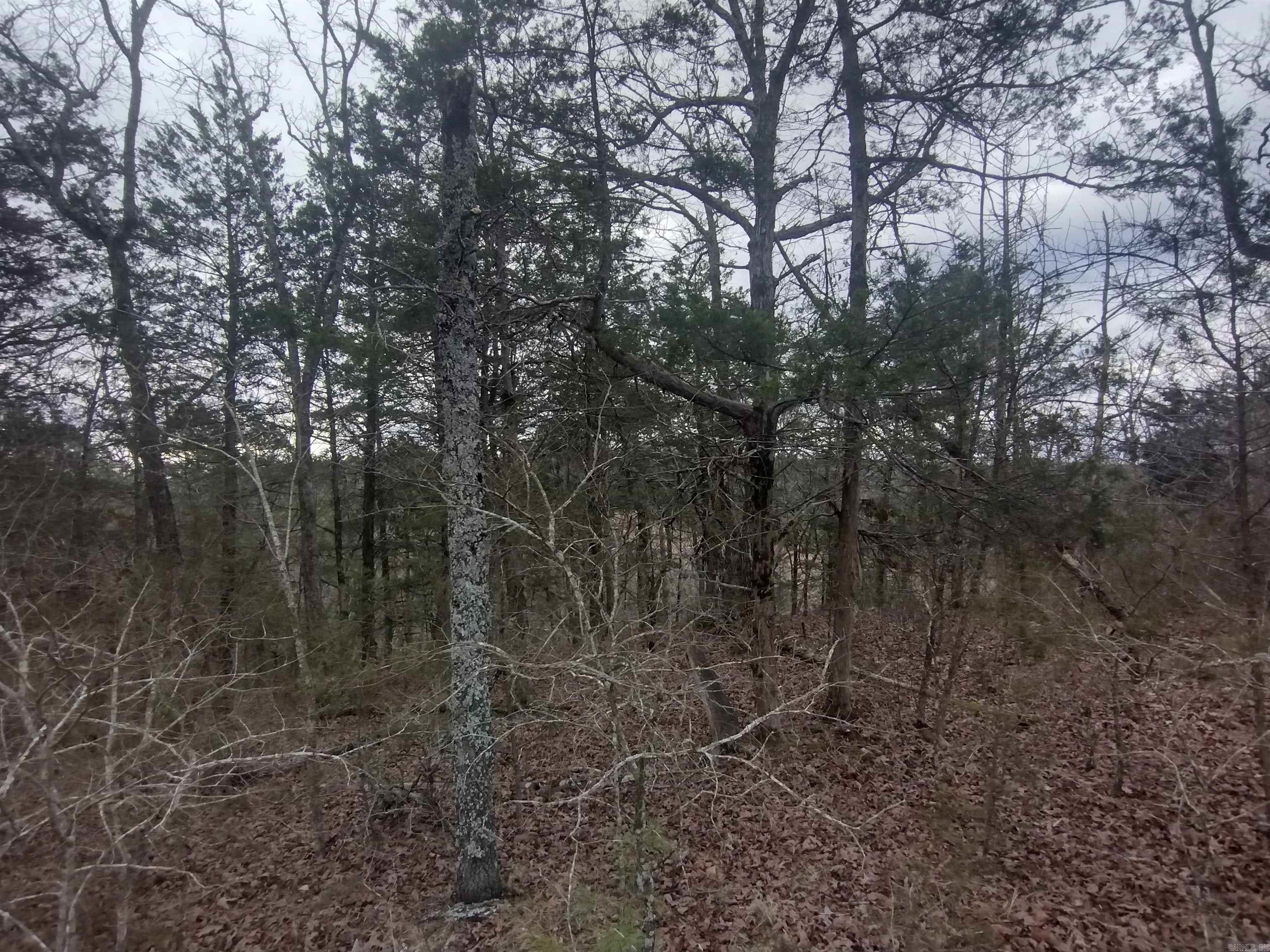 Photo 30 - Vacant Land for sale – 8840  HWY 56   Calico Rock, AR