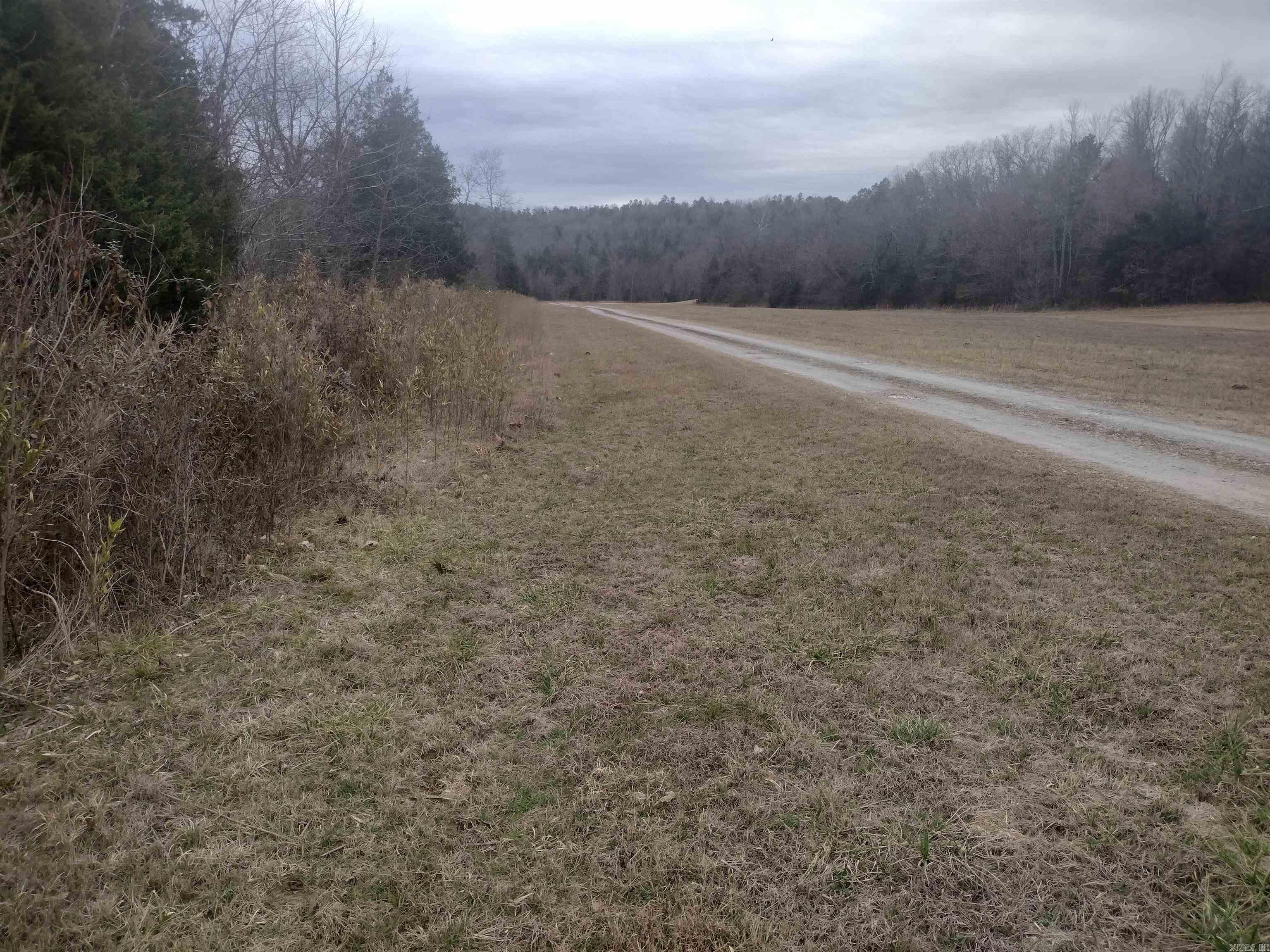 Photo 4 - Vacant Land for sale – 8840  HWY 56   Calico Rock, AR