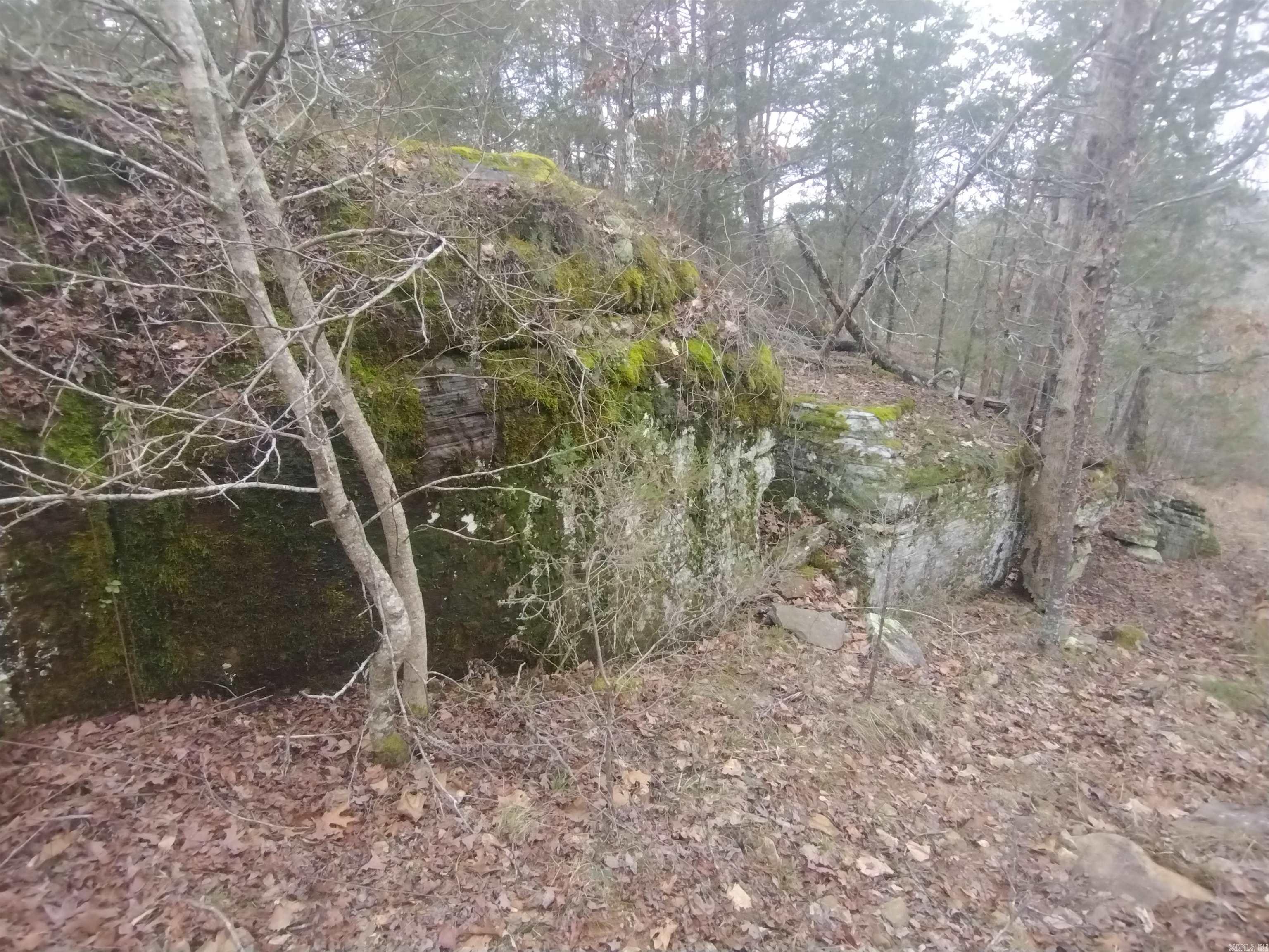 Photo 31 - Vacant Land for sale – 8840  HWY 56   Calico Rock, AR
