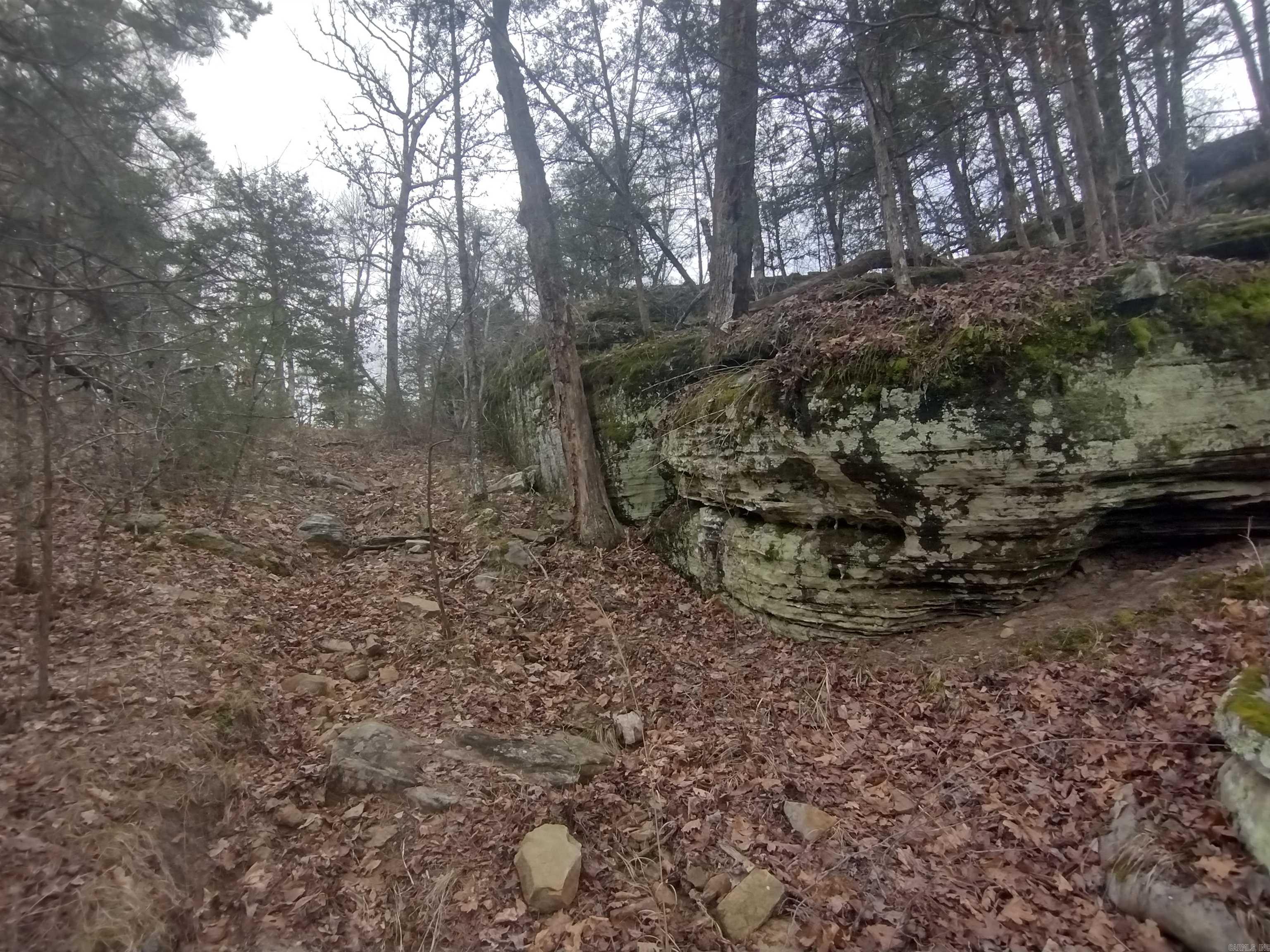Photo 33 - Vacant Land for sale – 8840  HWY 56   Calico Rock, AR