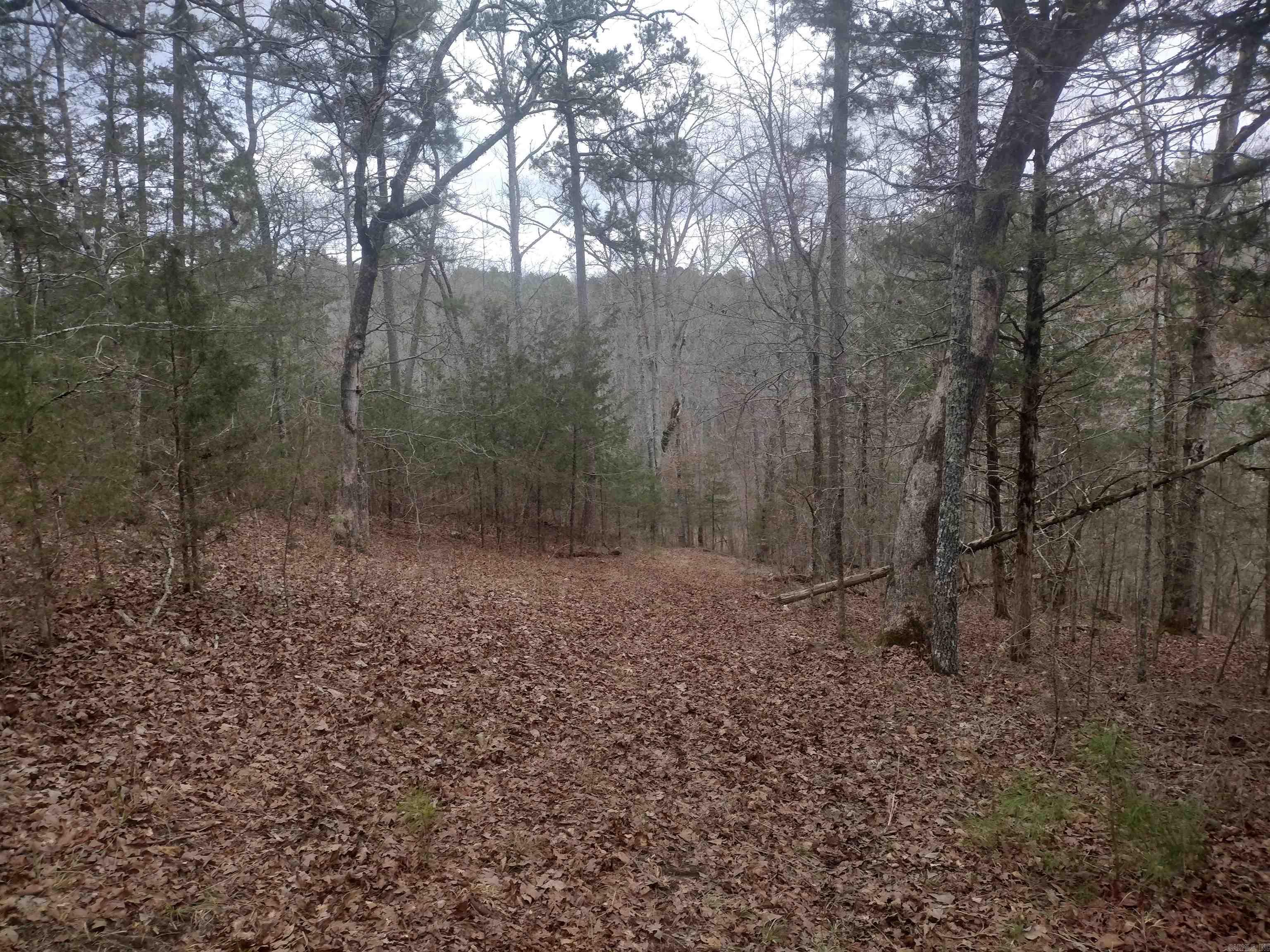 Photo 34 - Vacant Land for sale – 8840  HWY 56   Calico Rock, AR