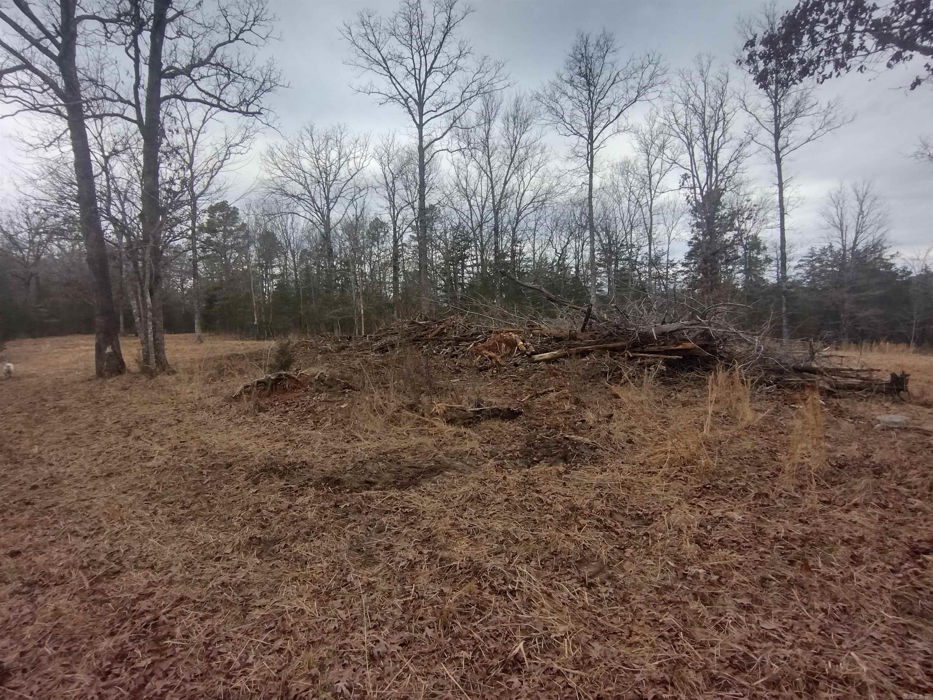 Photo 35 - Vacant Land for sale – 8840  HWY 56   Calico Rock, AR