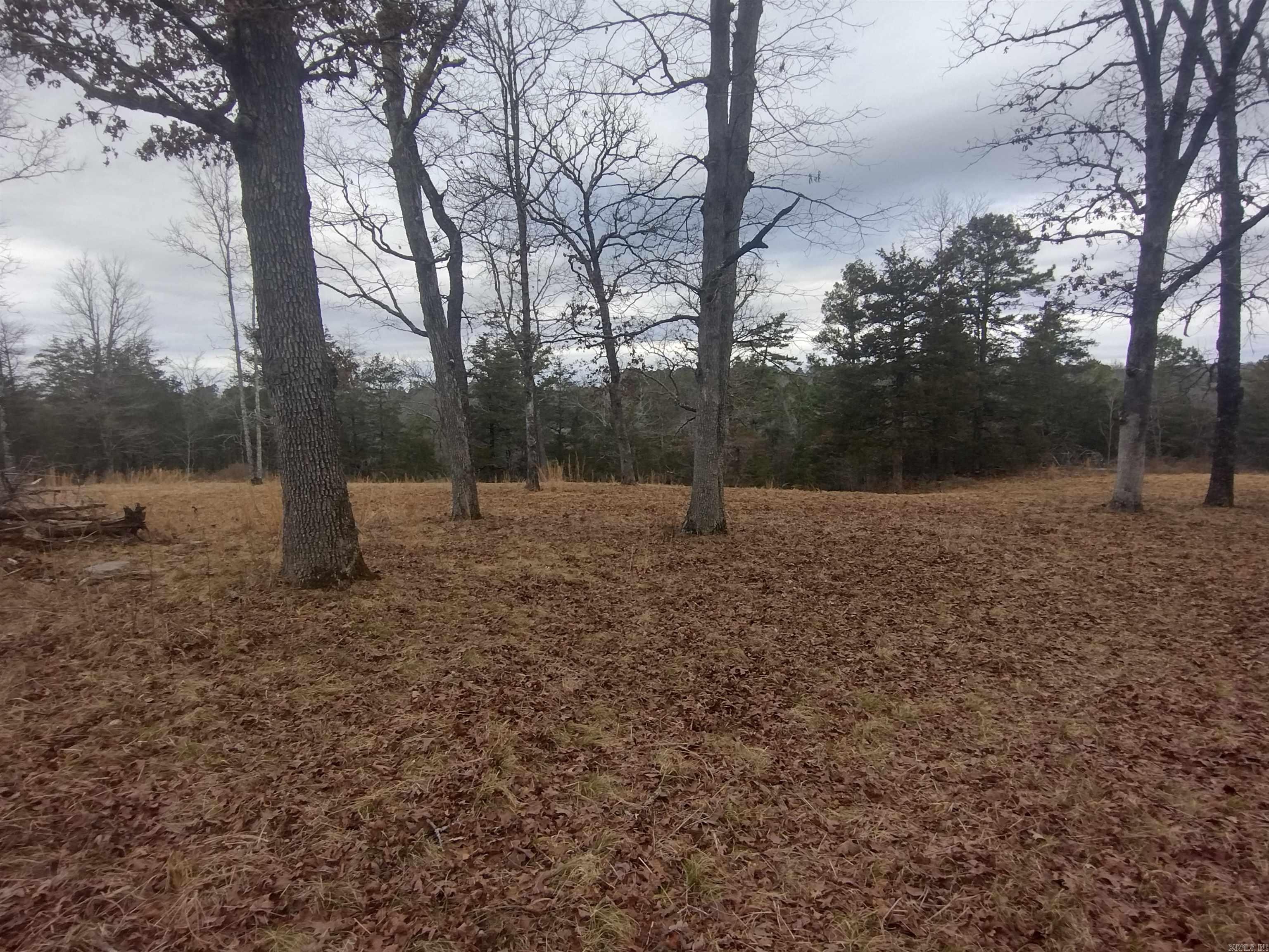 Photo 36 - Vacant Land for sale – 8840  HWY 56   Calico Rock, AR