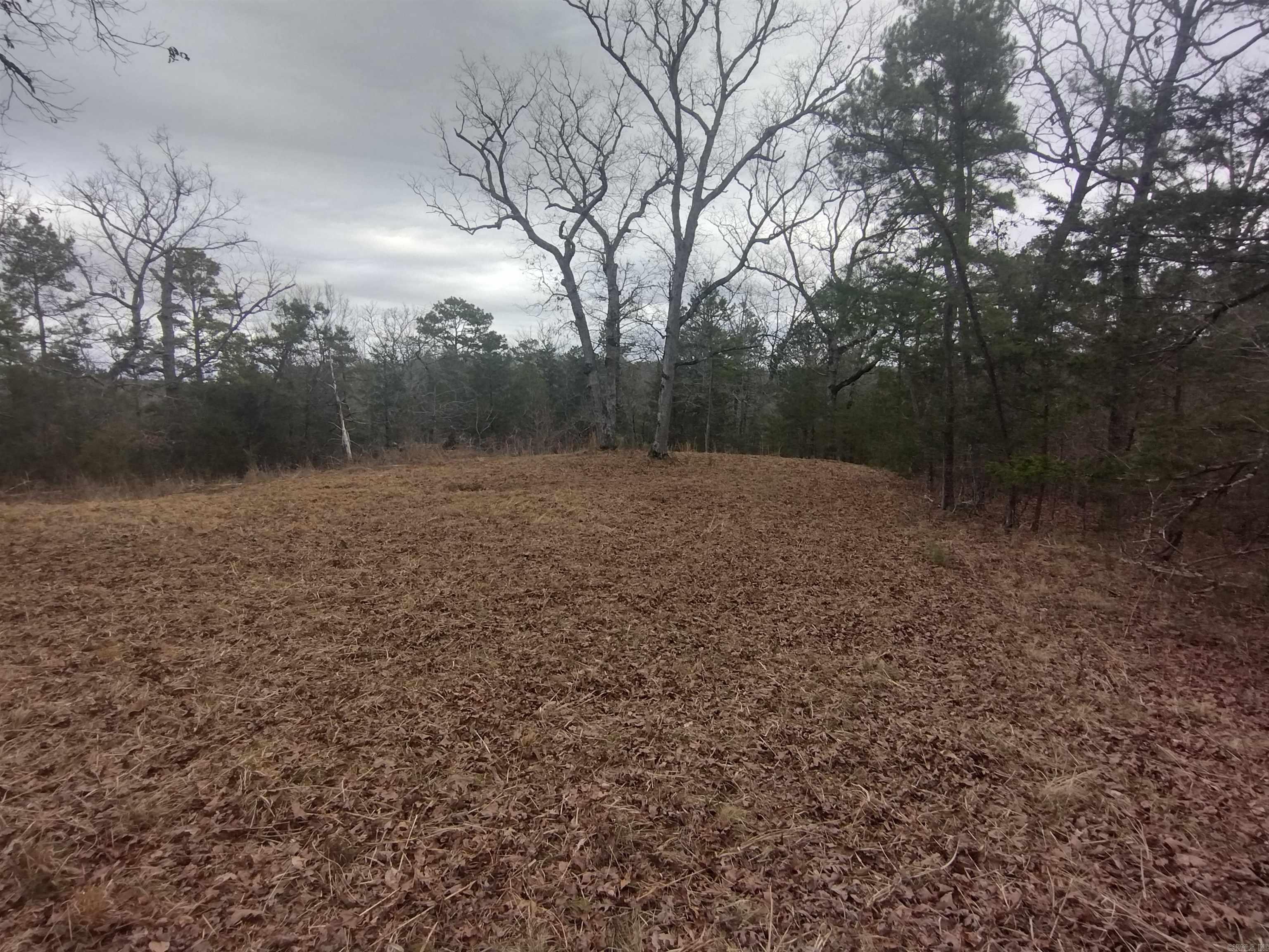 Photo 37 - Vacant Land for sale – 8840  HWY 56   Calico Rock, AR