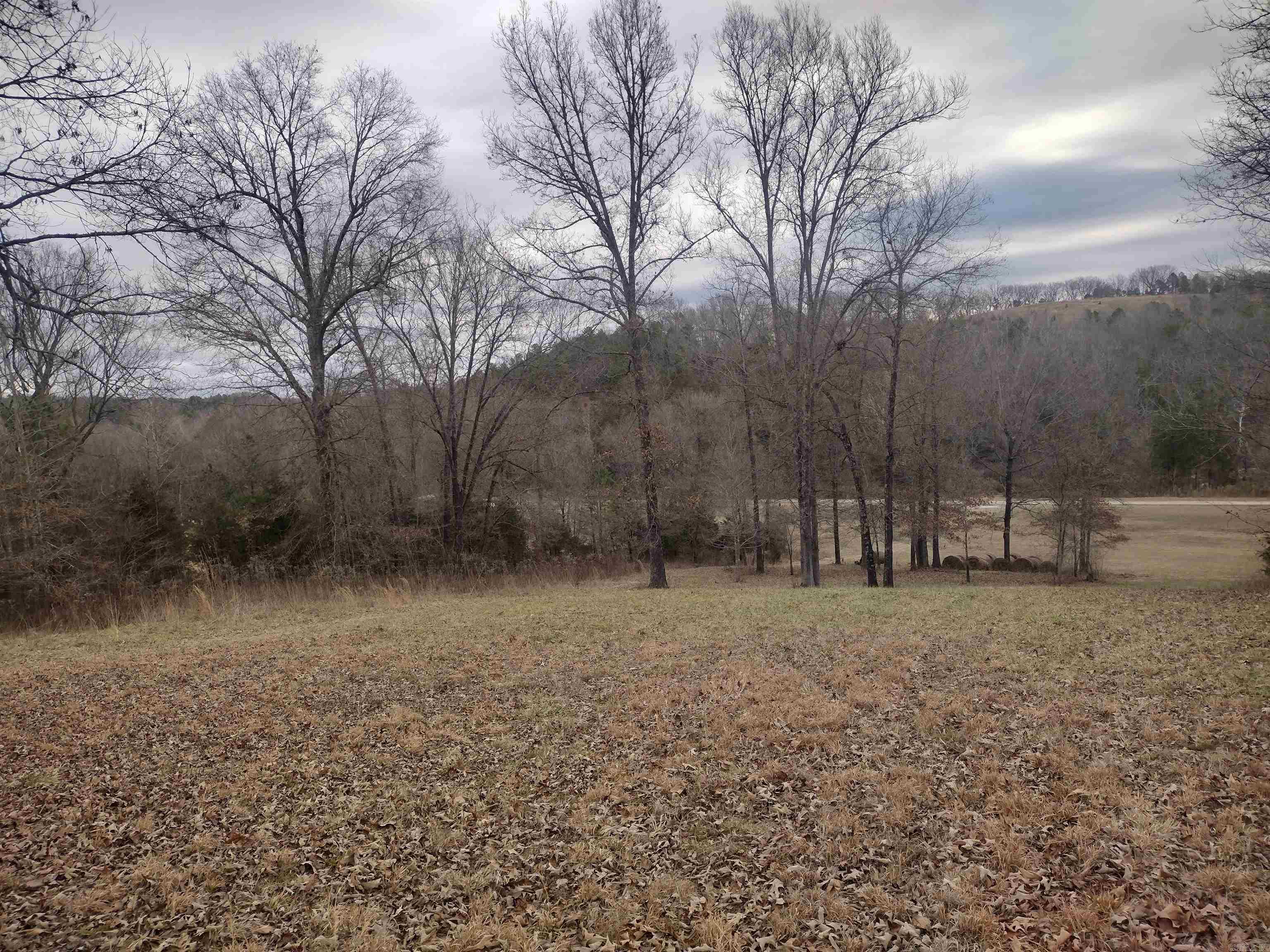 Photo 38 - Vacant Land for sale – 8840  HWY 56   Calico Rock, AR