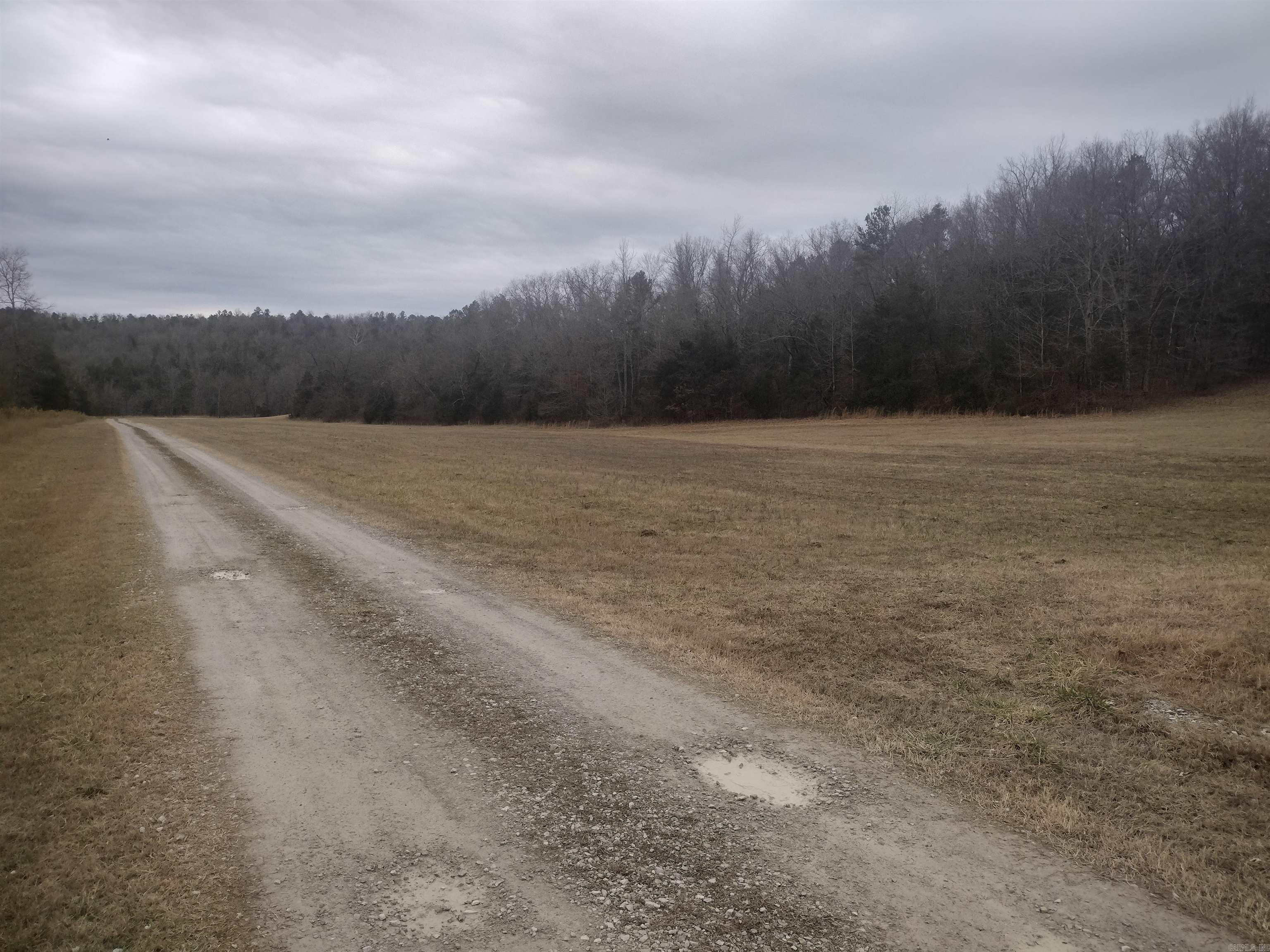 Photo 5 - Vacant Land for sale – 8840  HWY 56   Calico Rock, AR