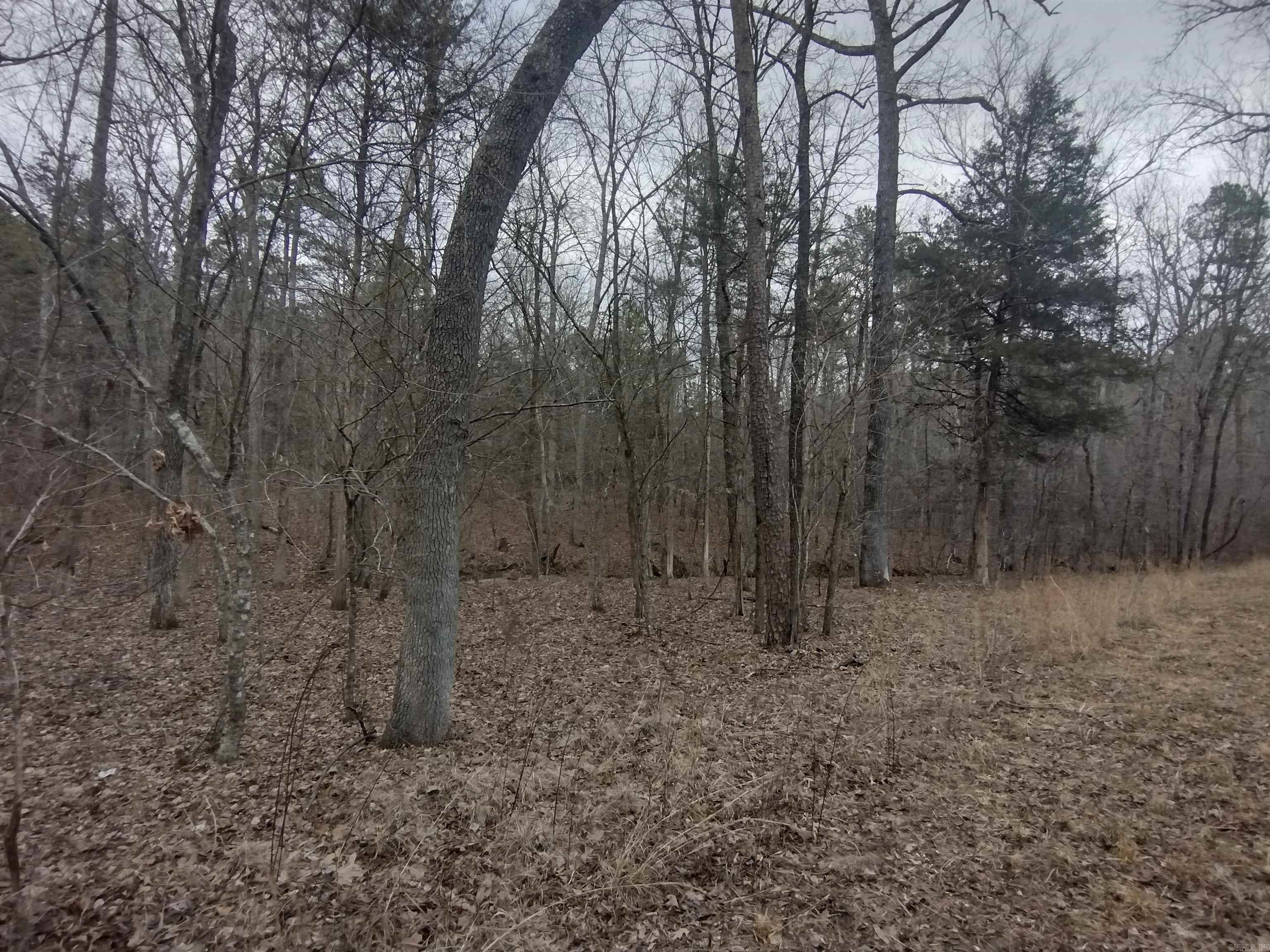 Photo 44 - Vacant Land for sale – 8840  HWY 56   Calico Rock, AR