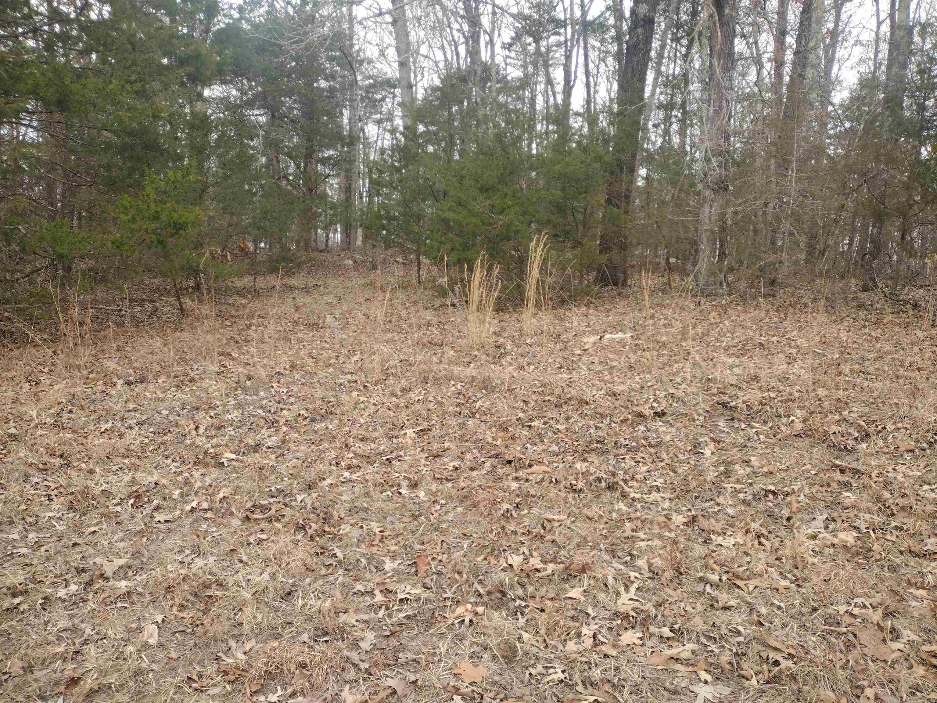 Photo 45 - Vacant Land for sale – 8840  HWY 56   Calico Rock, AR