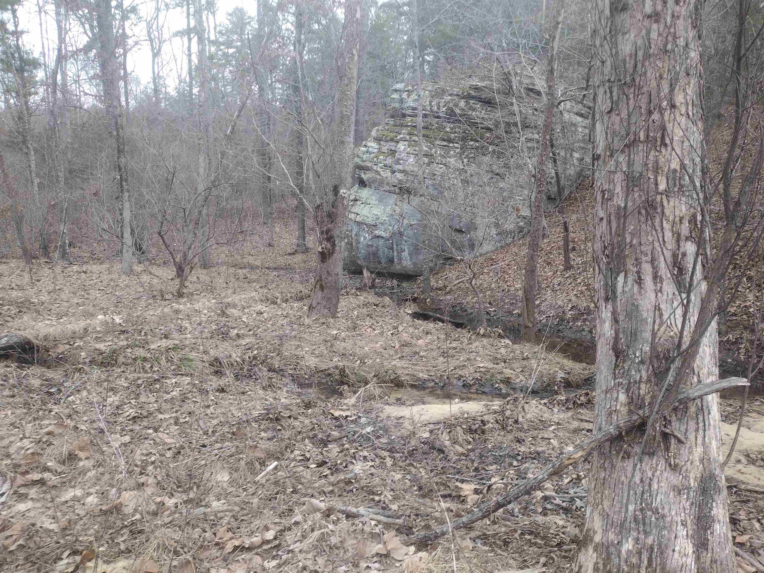 Photo 47 - Vacant Land for sale – 8840  HWY 56   Calico Rock, AR