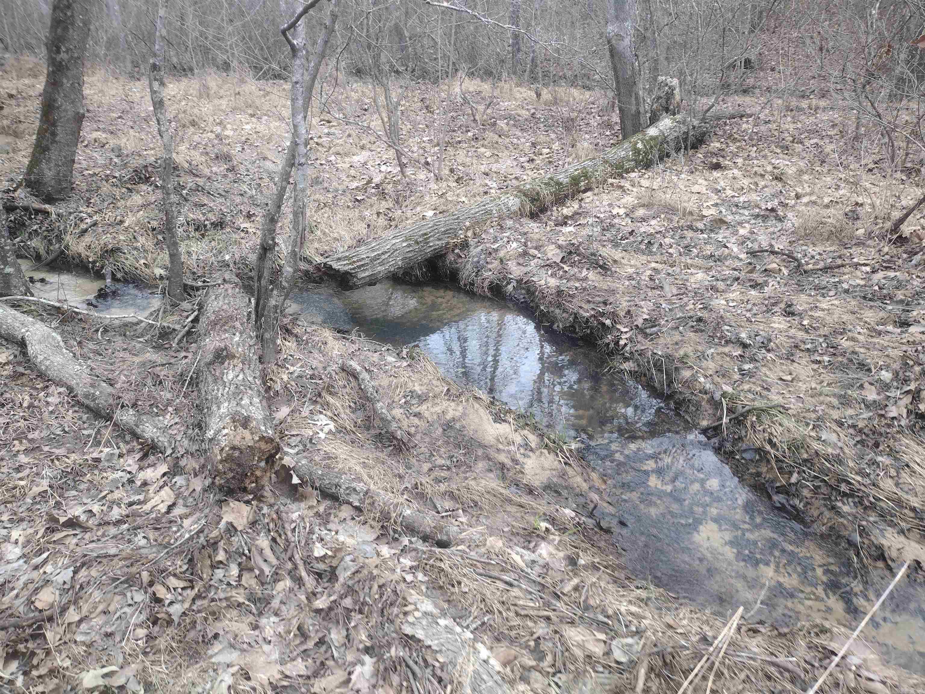 Photo 48 - Vacant Land for sale – 8840  HWY 56   Calico Rock, AR