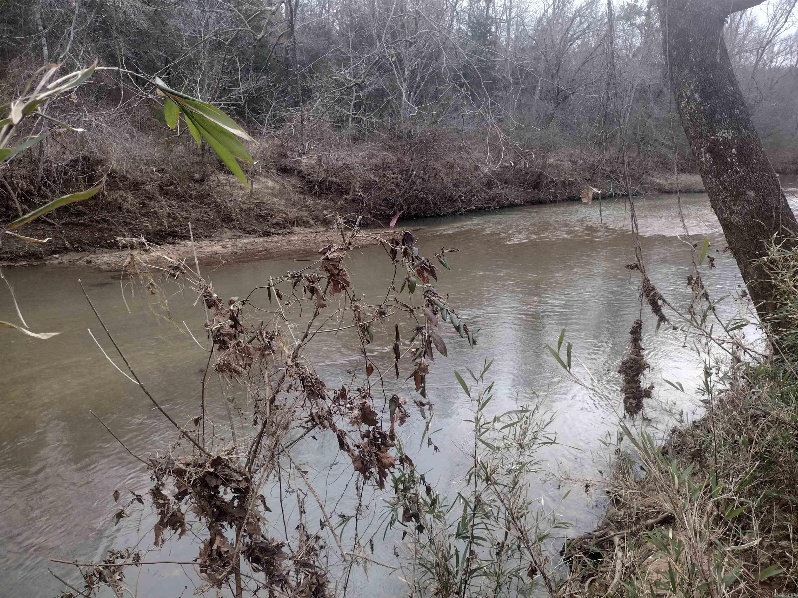 Photo 8 - Vacant Land for sale – 8840  HWY 56   Calico Rock, AR