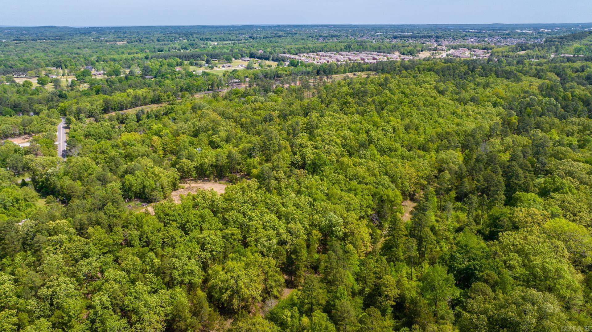 Photo 11 - Vacant Land for sale – 0000  Nutters Chapel   Conway, AR
