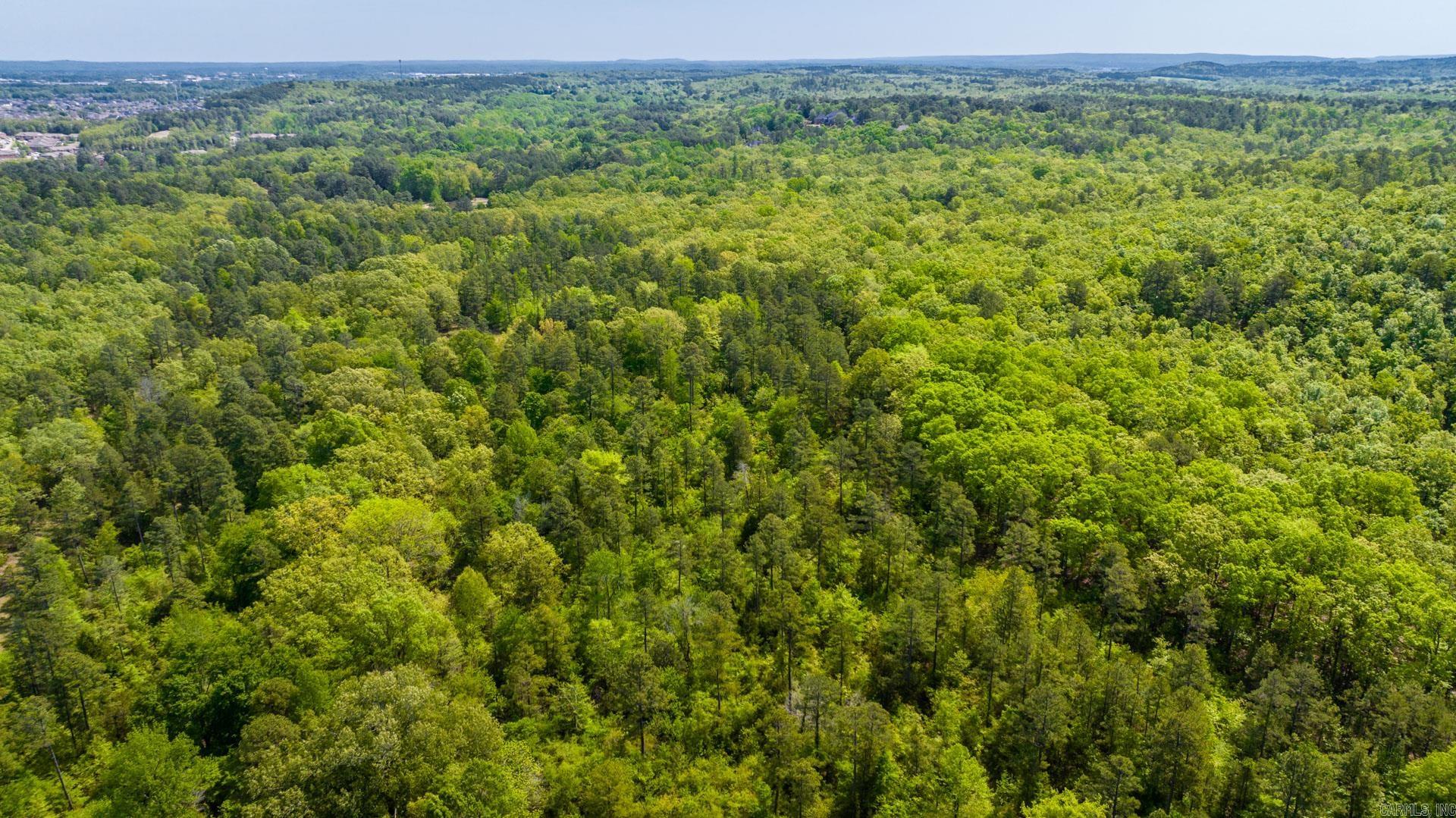 Photo 12 - Vacant Land for sale – 0000  Nutters Chapel   Conway, AR