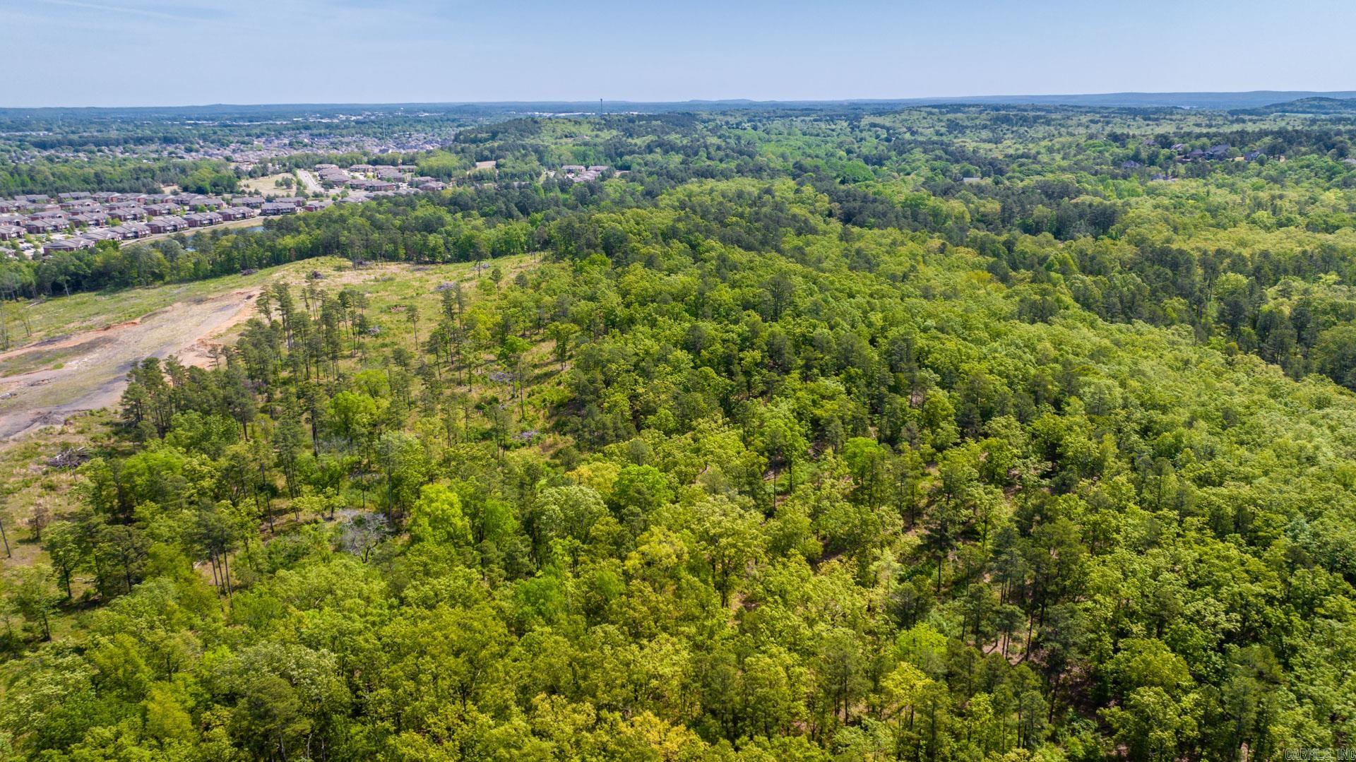 Photo 14 - Vacant Land for sale – 0000  Nutters Chapel   Conway, AR