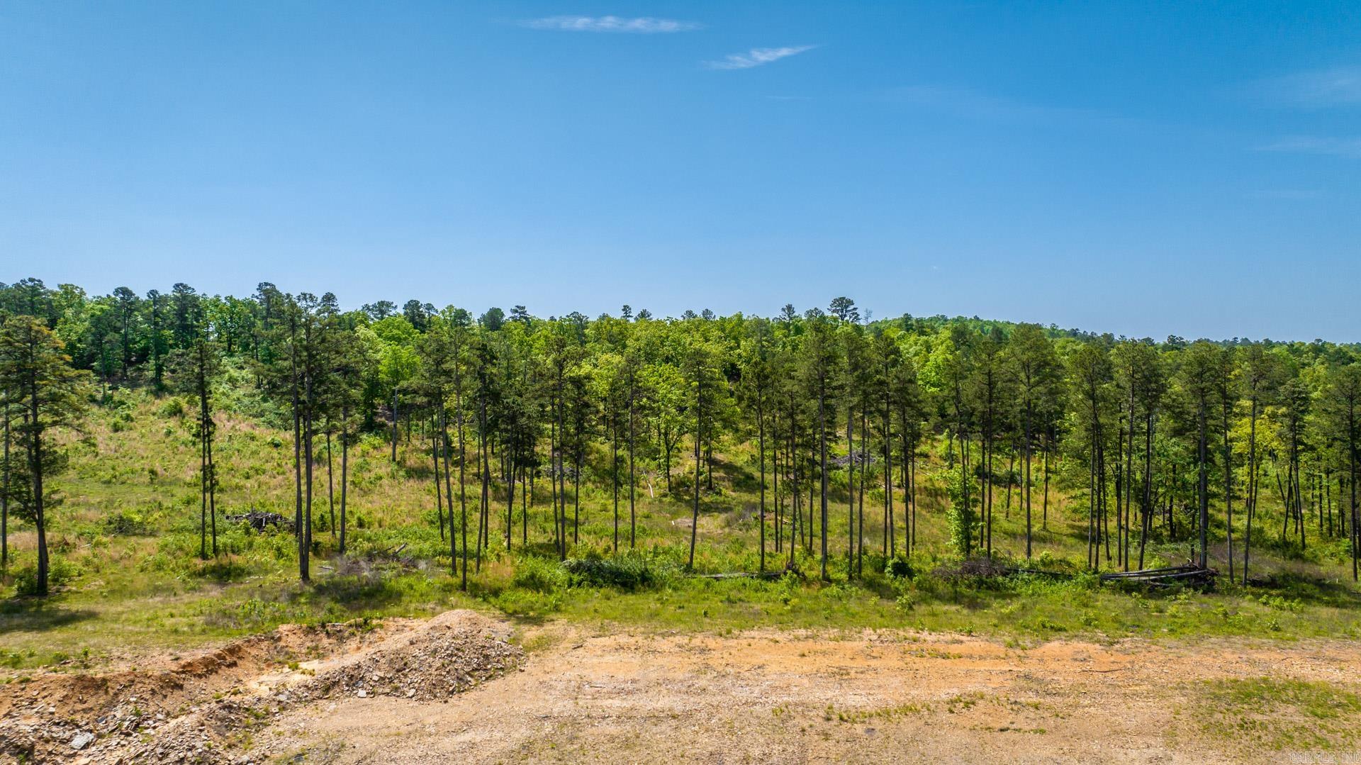 Photo 17 - Vacant Land for sale – 0000  Nutters Chapel   Conway, AR