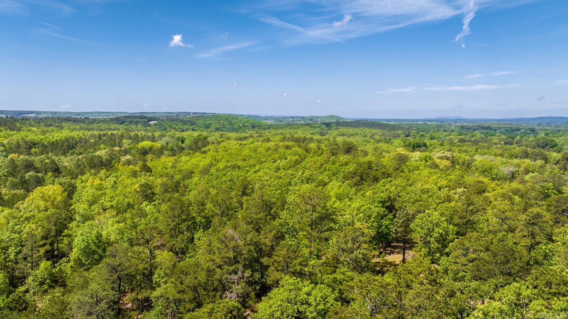 Photo 8 - Vacant Land for sale – 0000  Nutters Chapel   Conway, AR