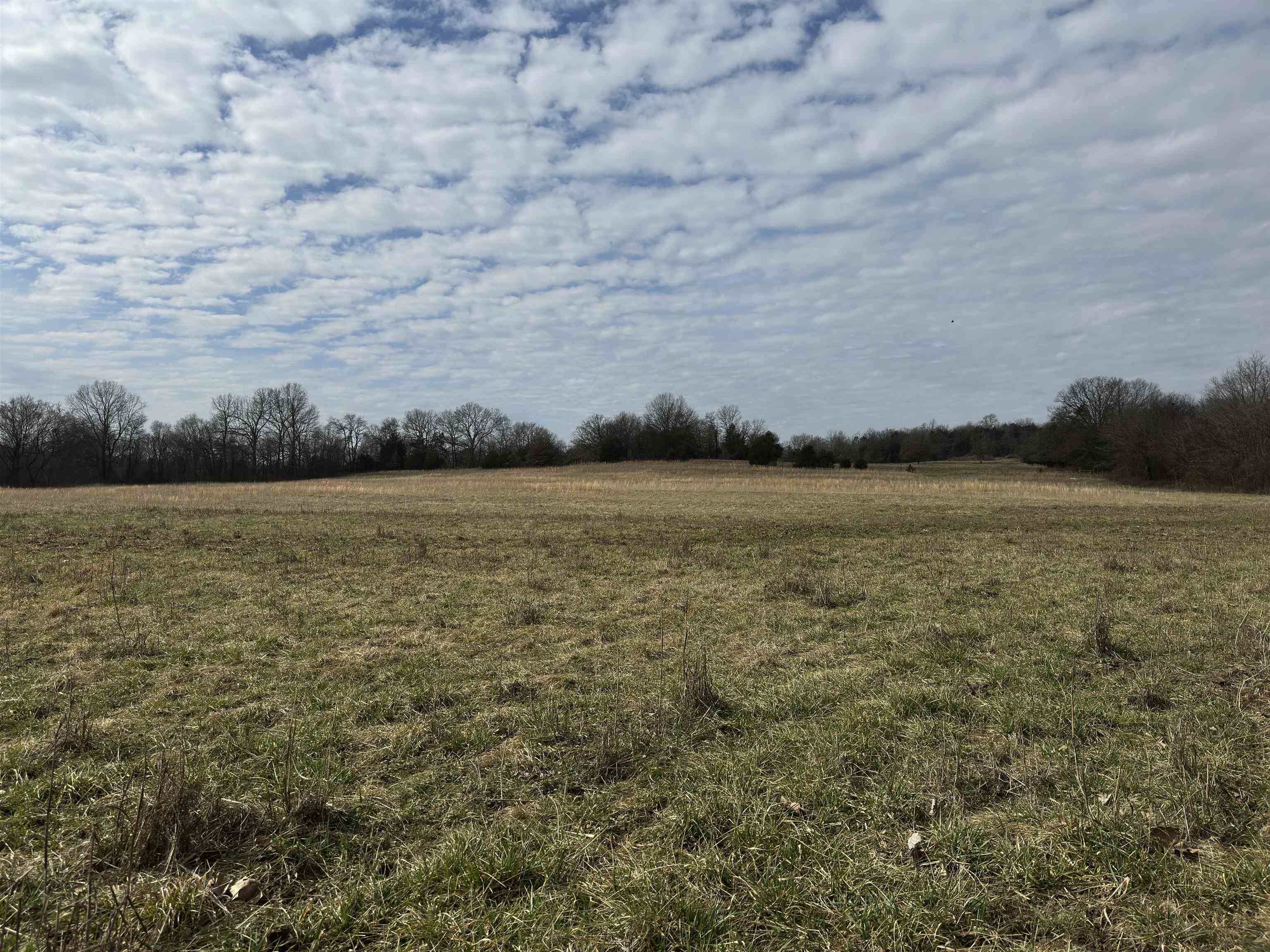 Photo 17 - Commercial / Industrial for sale – 261  Brickle Springs  Yes Cave City, AR