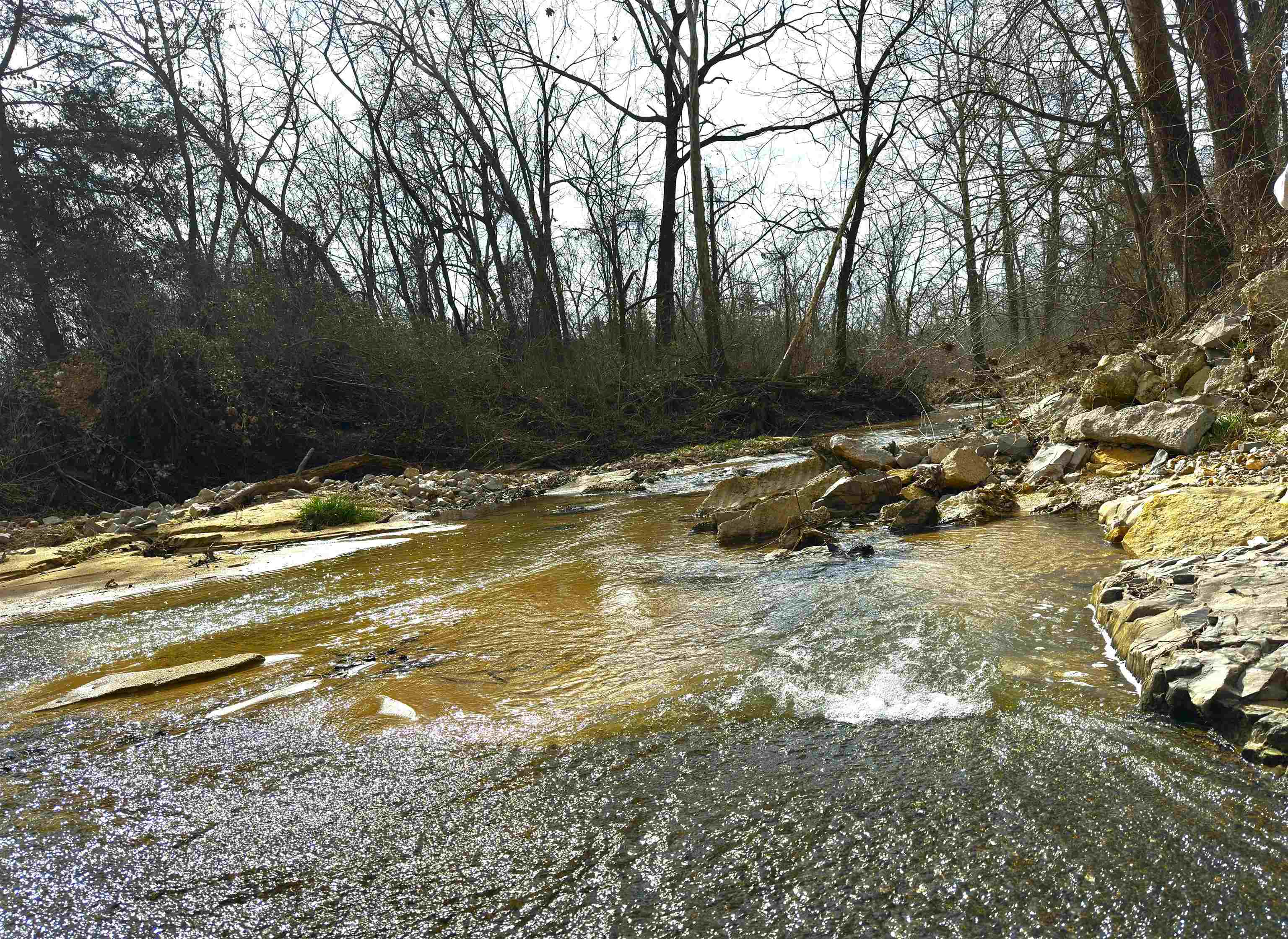 Photo 4 - Commercial / Industrial for sale – 261  Brickle Springs  Yes Cave City, AR