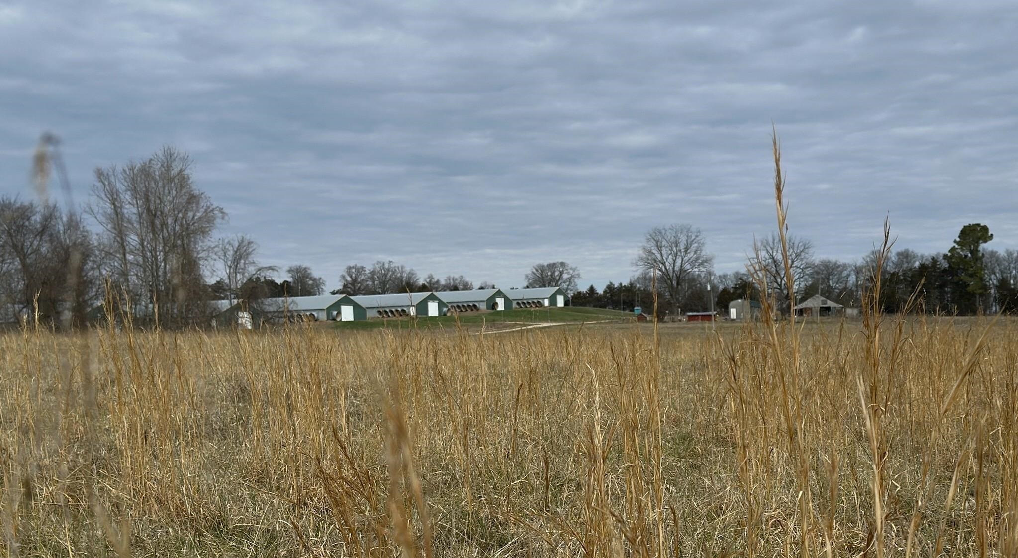 Photo 6 - Commercial / Industrial for sale – 261  Brickle Springs  Yes Cave City, AR