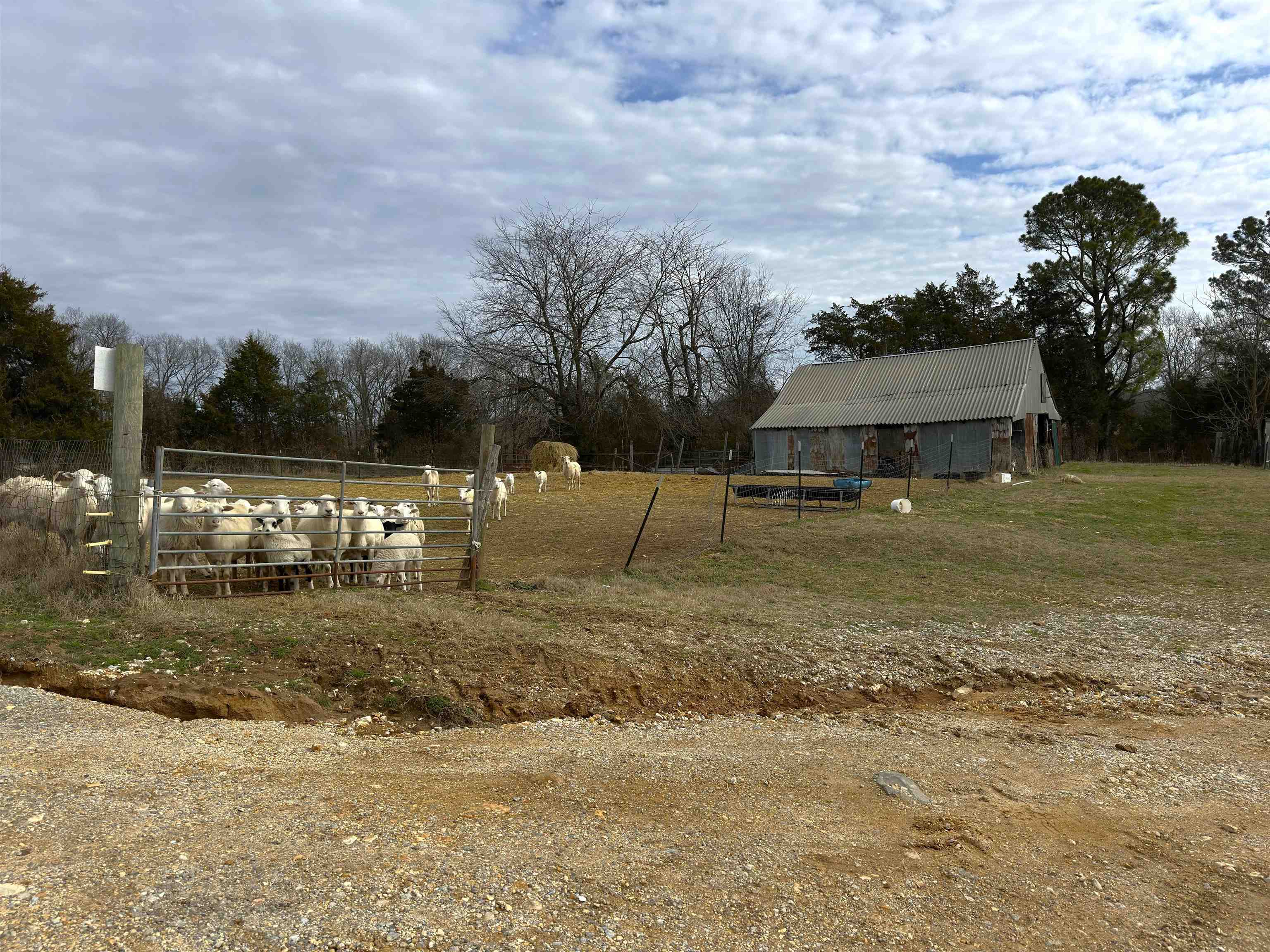 Photo 8 - Commercial / Industrial for sale – 261  Brickle Springs  Yes Cave City, AR