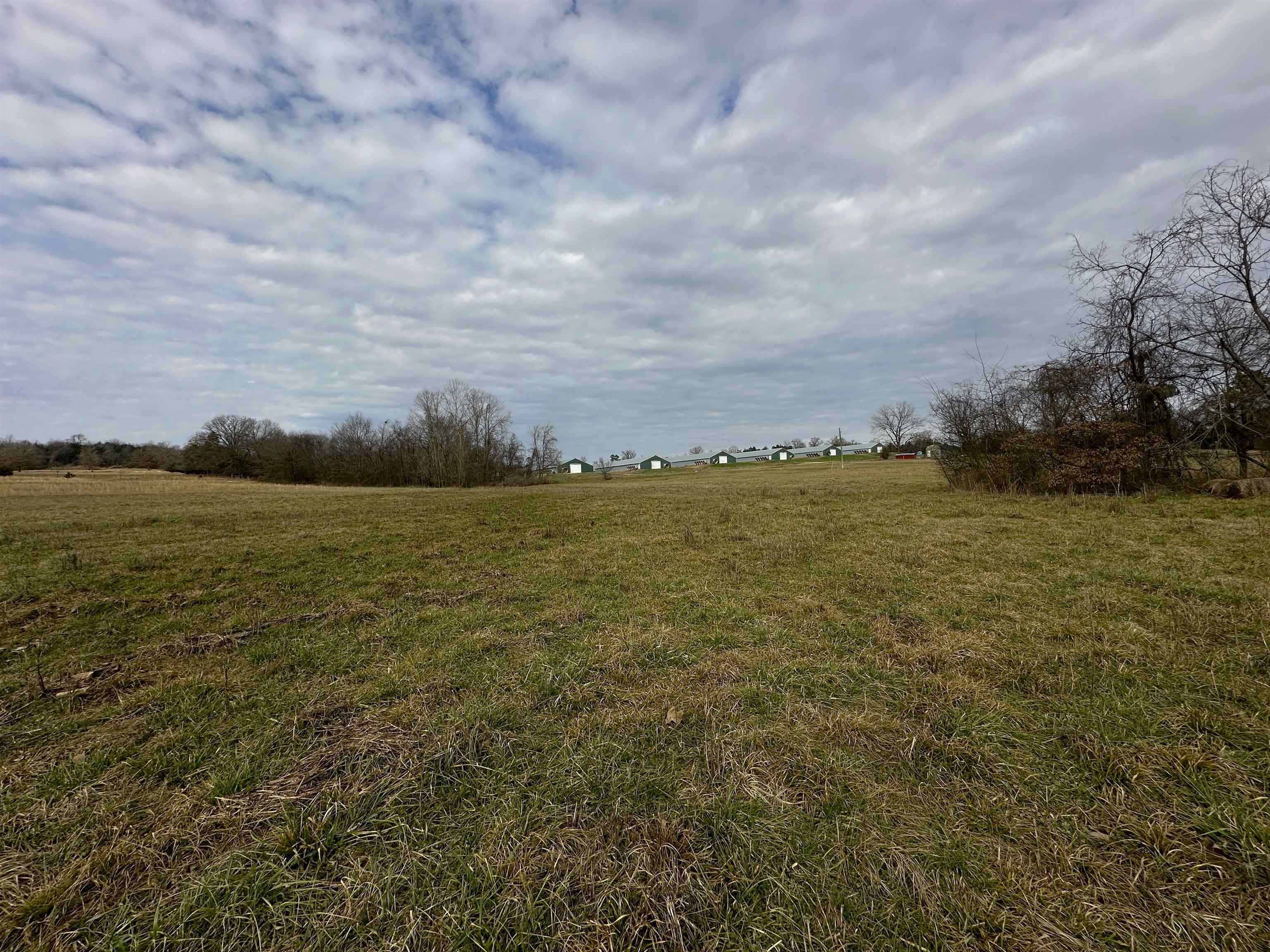 Photo 9 - Commercial / Industrial for sale – 261  Brickle Springs  Yes Cave City, AR