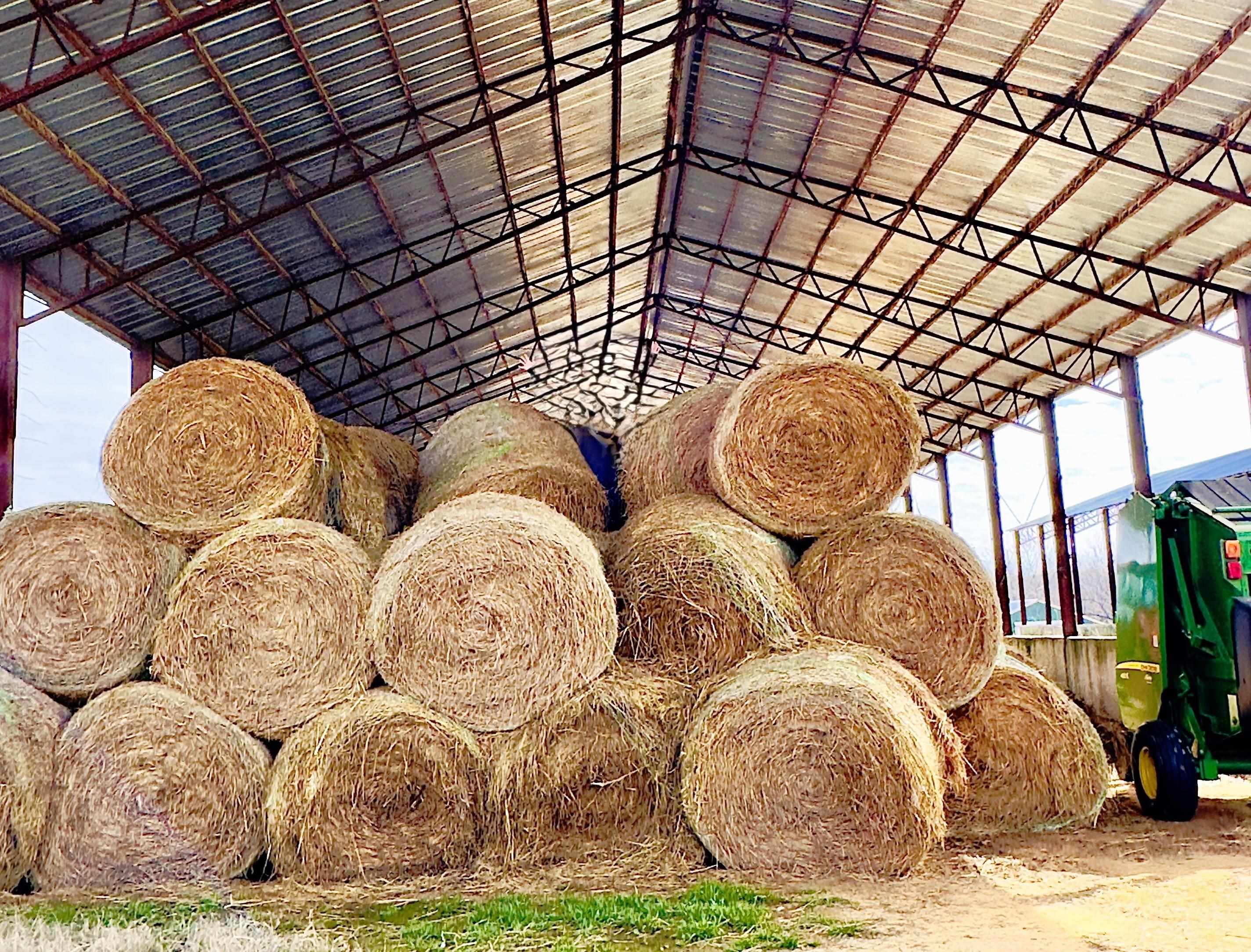 Photo 10 - Commercial / Industrial for sale – 261  Brickle Springs  Yes Cave City, AR