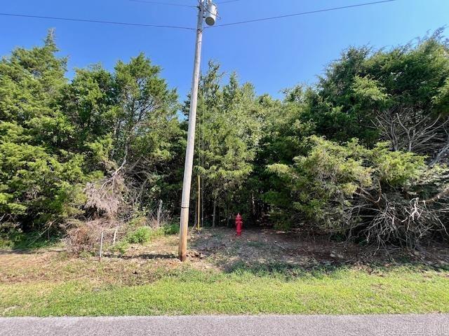 Photo 2 - Vacant Land for sale – 11,12,13  Lynndale   Pleasant Plains, AR