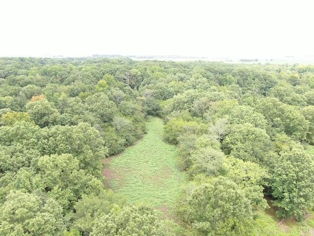 Photo 13 - Vacant Land for sale – 10 S Ives   Roe, AR