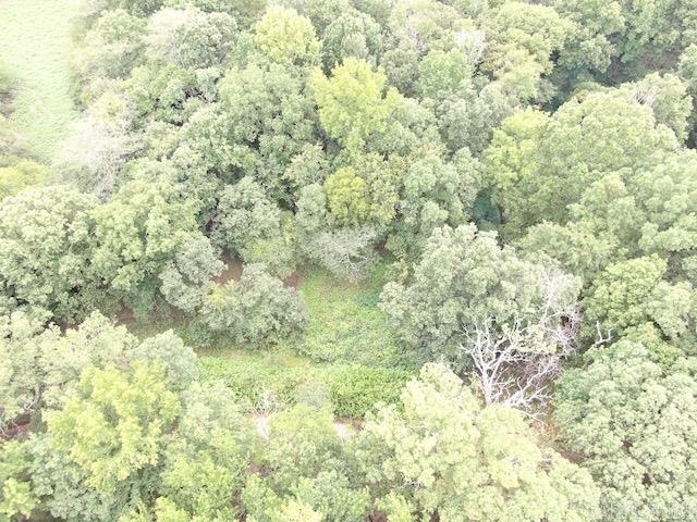 Photo 14 - Vacant Land for sale – 10 S Ives   Roe, AR